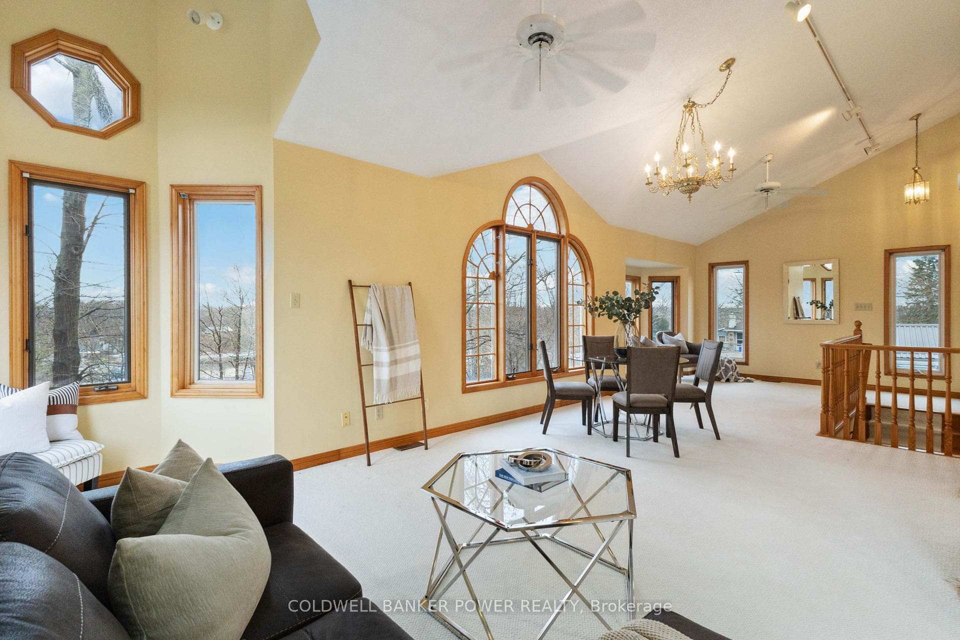 222 Cornell Drive photo 27