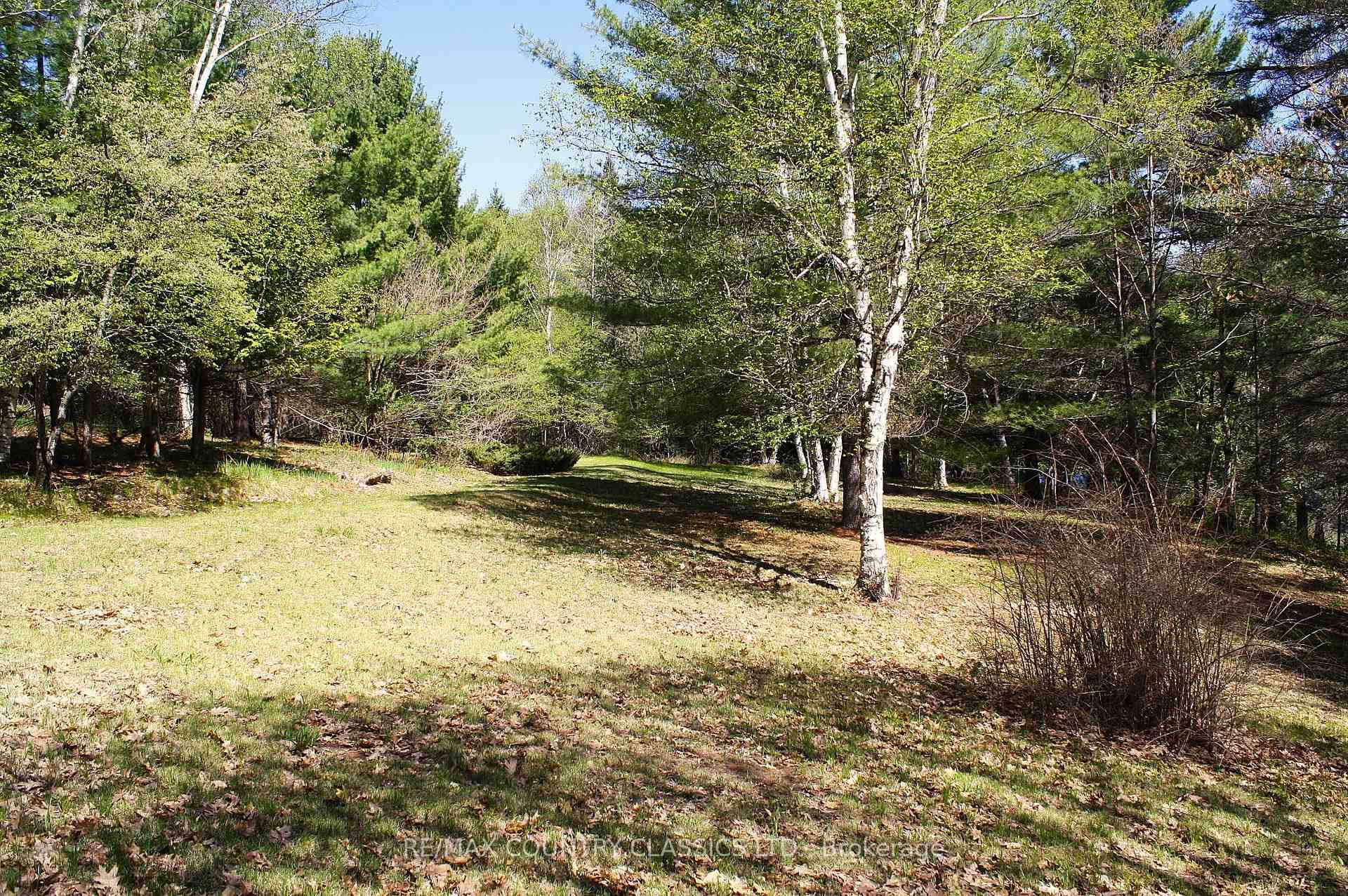 1060 Little Ireland Road photo 23
