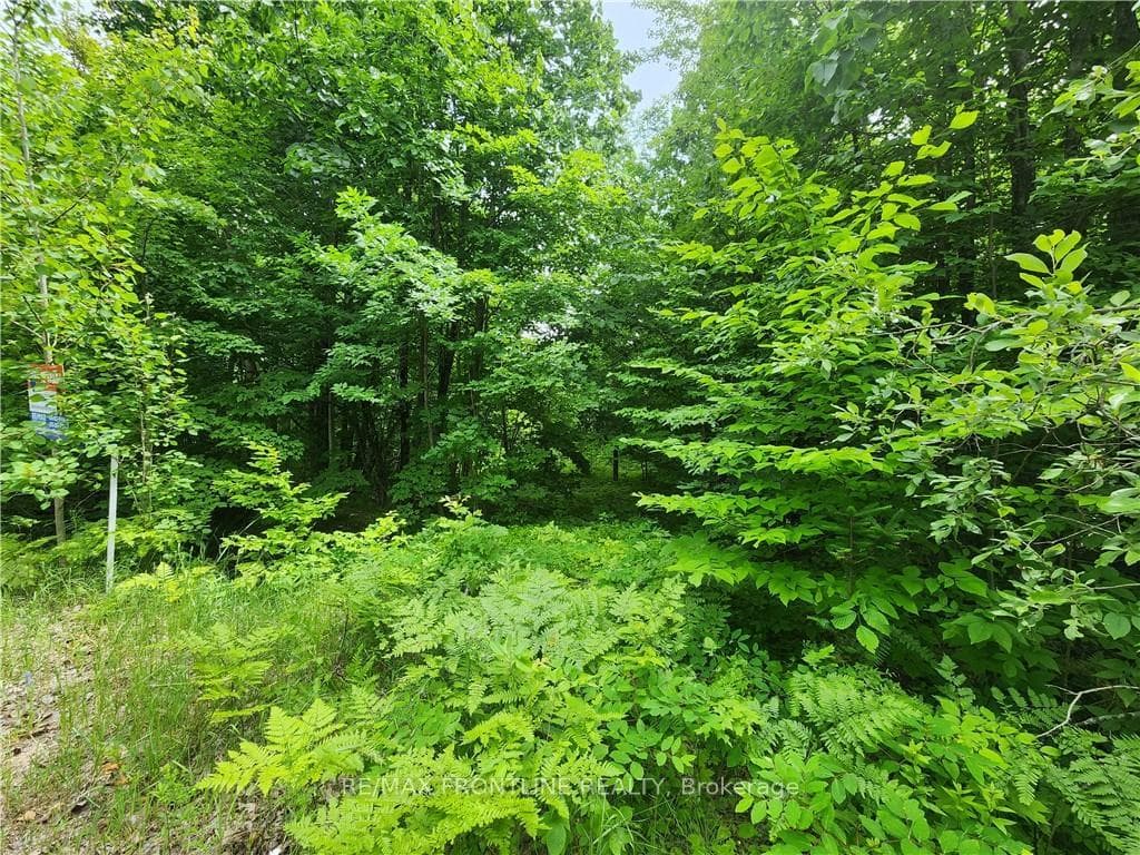 160 RED PINE Road photo 3