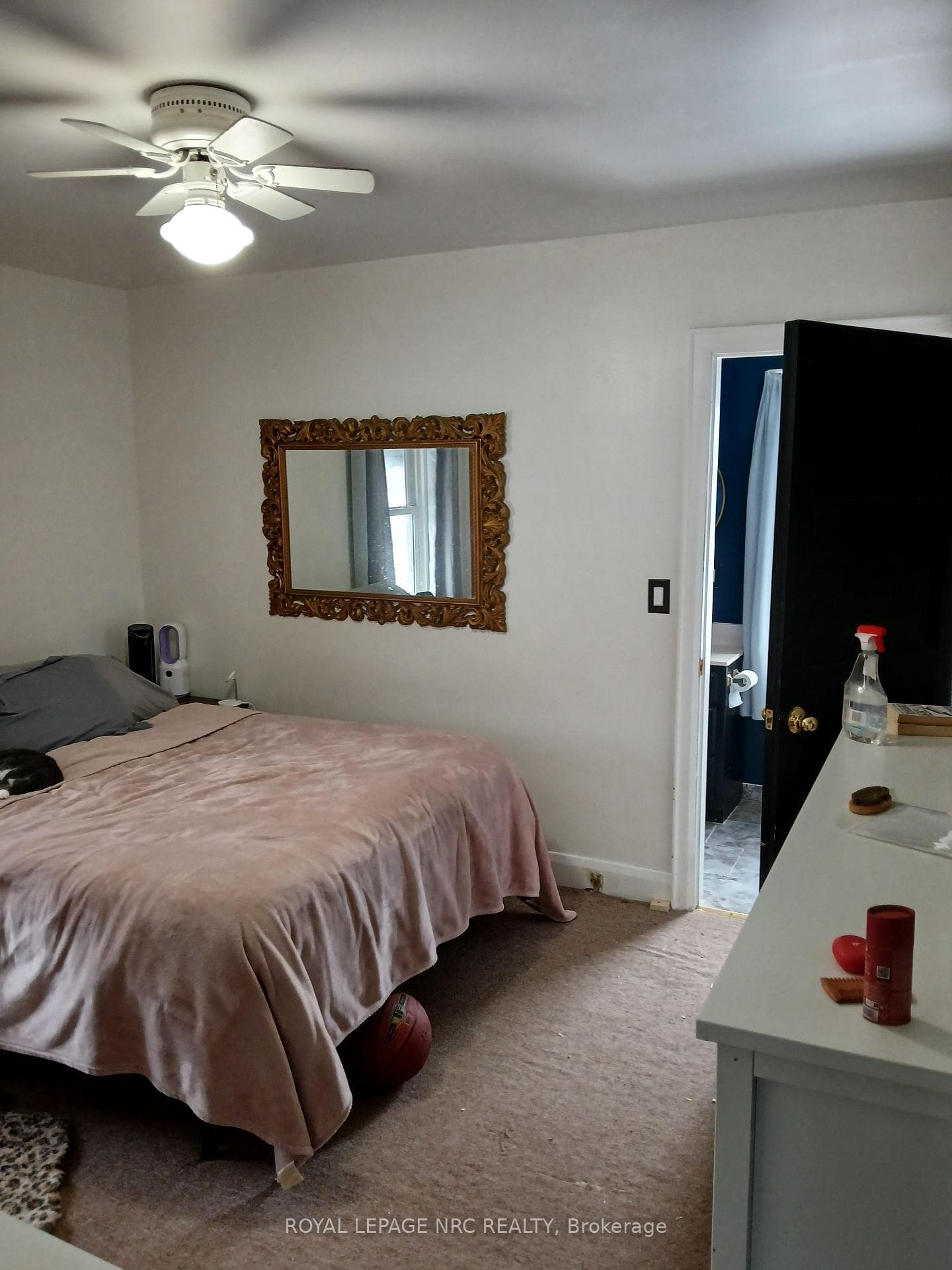 246 Highland Avenue photo 5