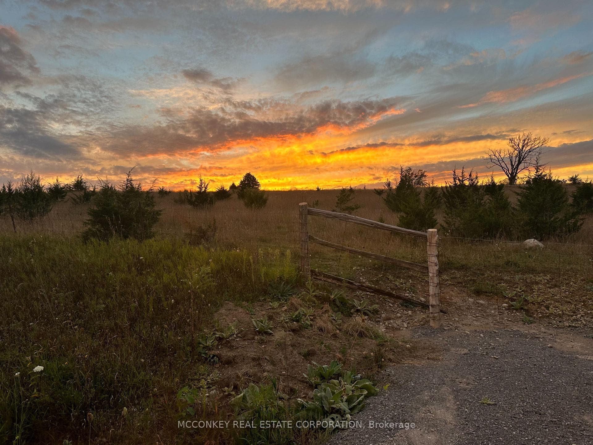 284 Concession Rd. 13 E N/A photo 9