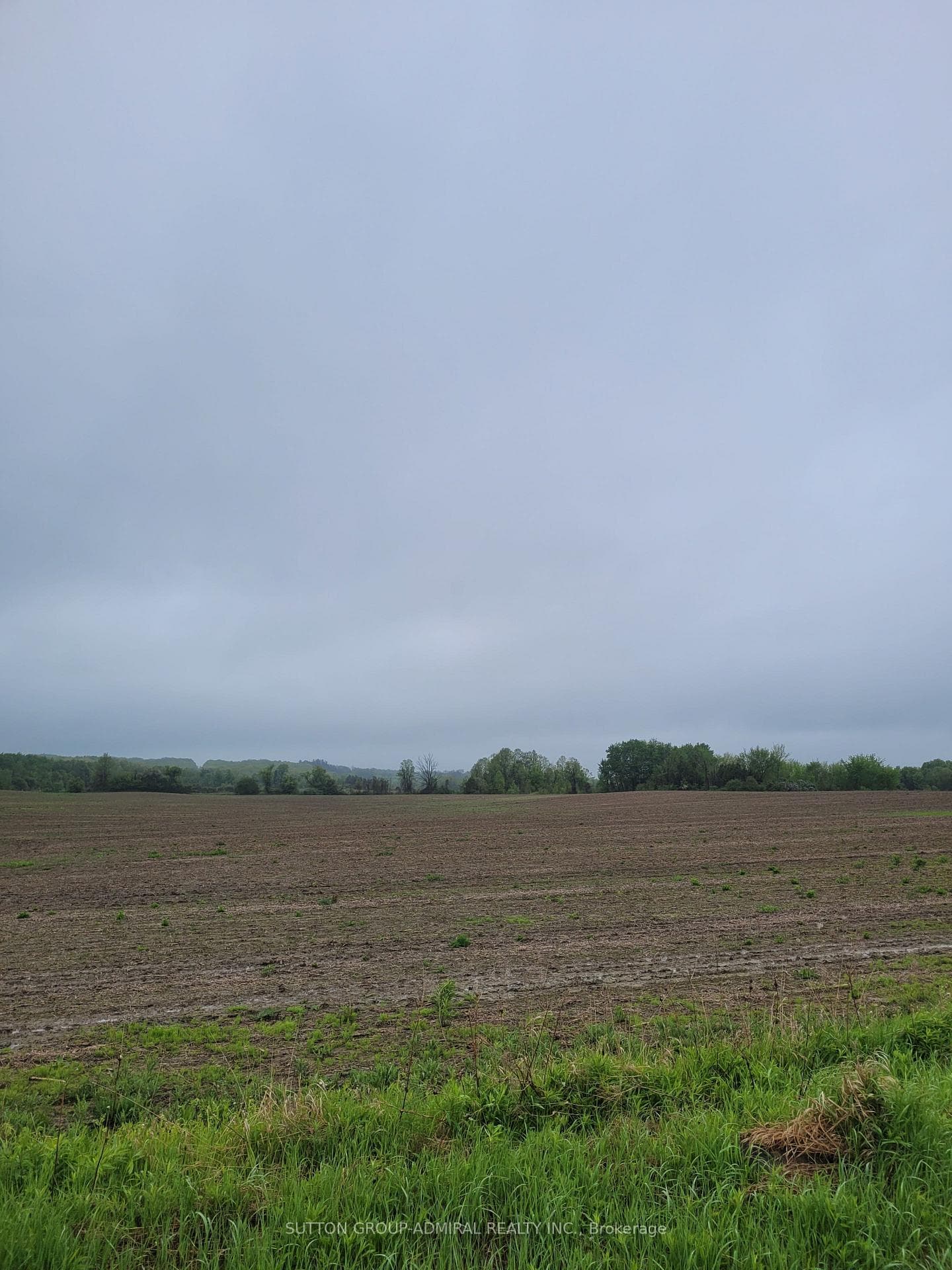 4860 18th Side Road photo 7