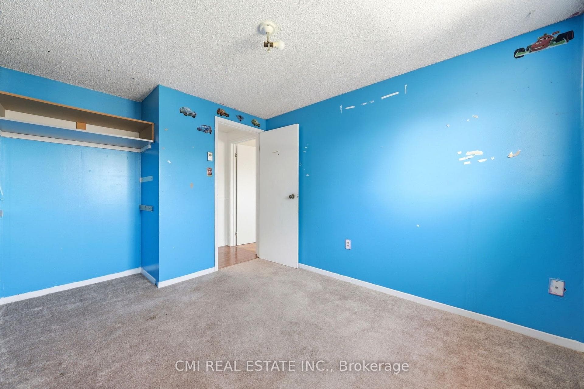 1 Mccuaig Court photo 22