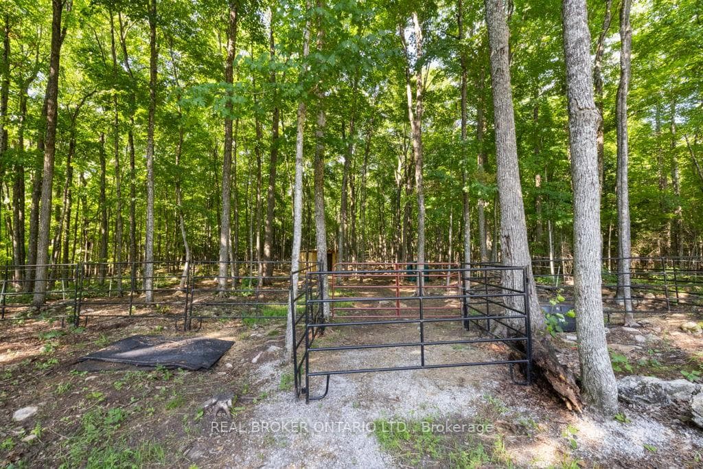 804 Darling Road photo 39