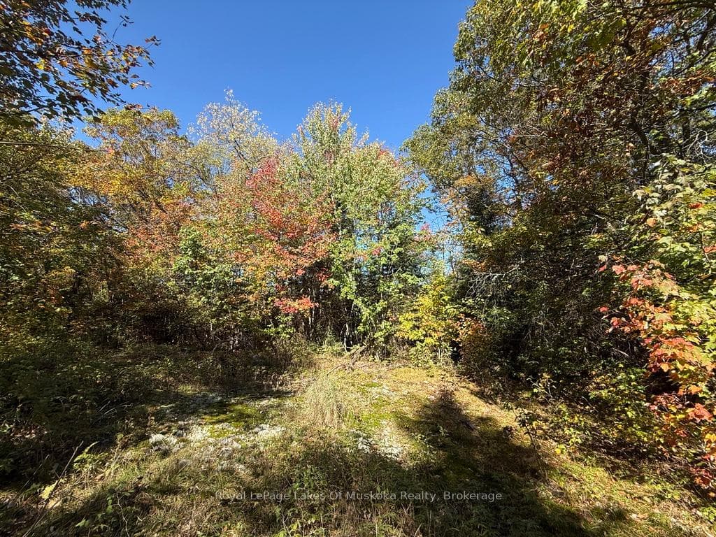 1118 Stoney Road photo 16