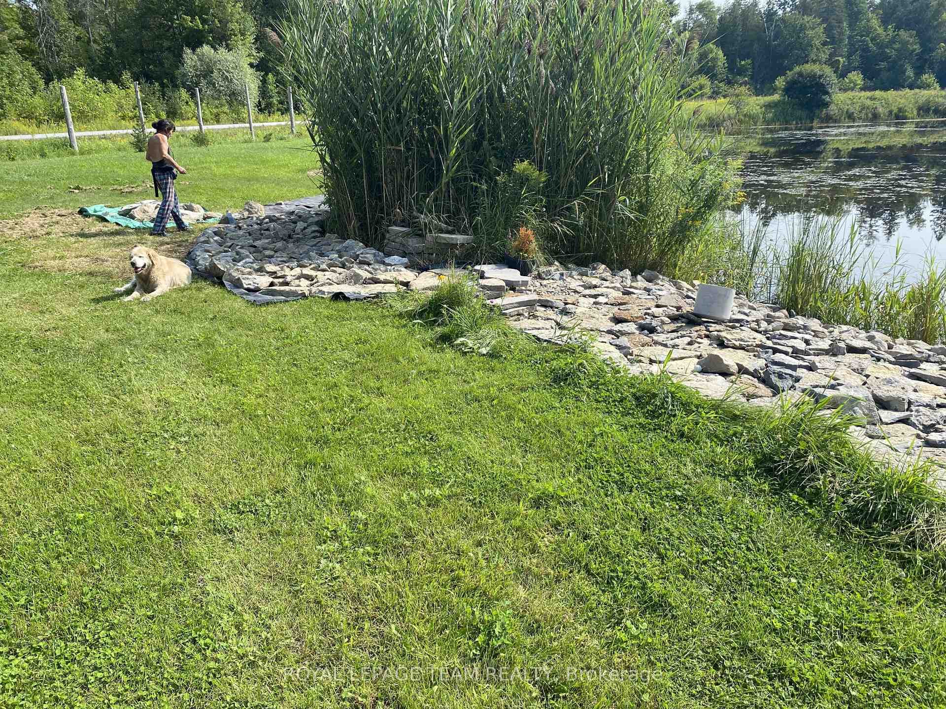 5166 Loggers Way photo 19