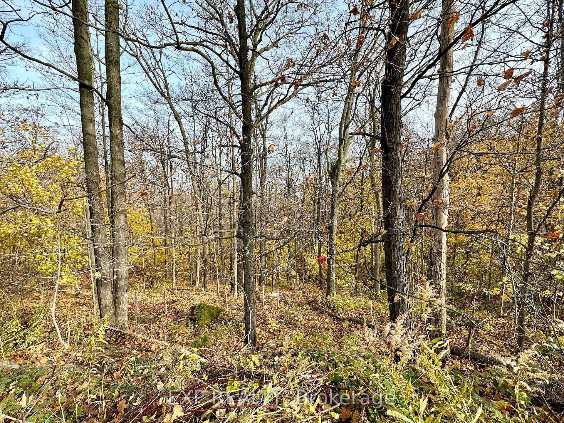 49 Ridge Road photo 12
