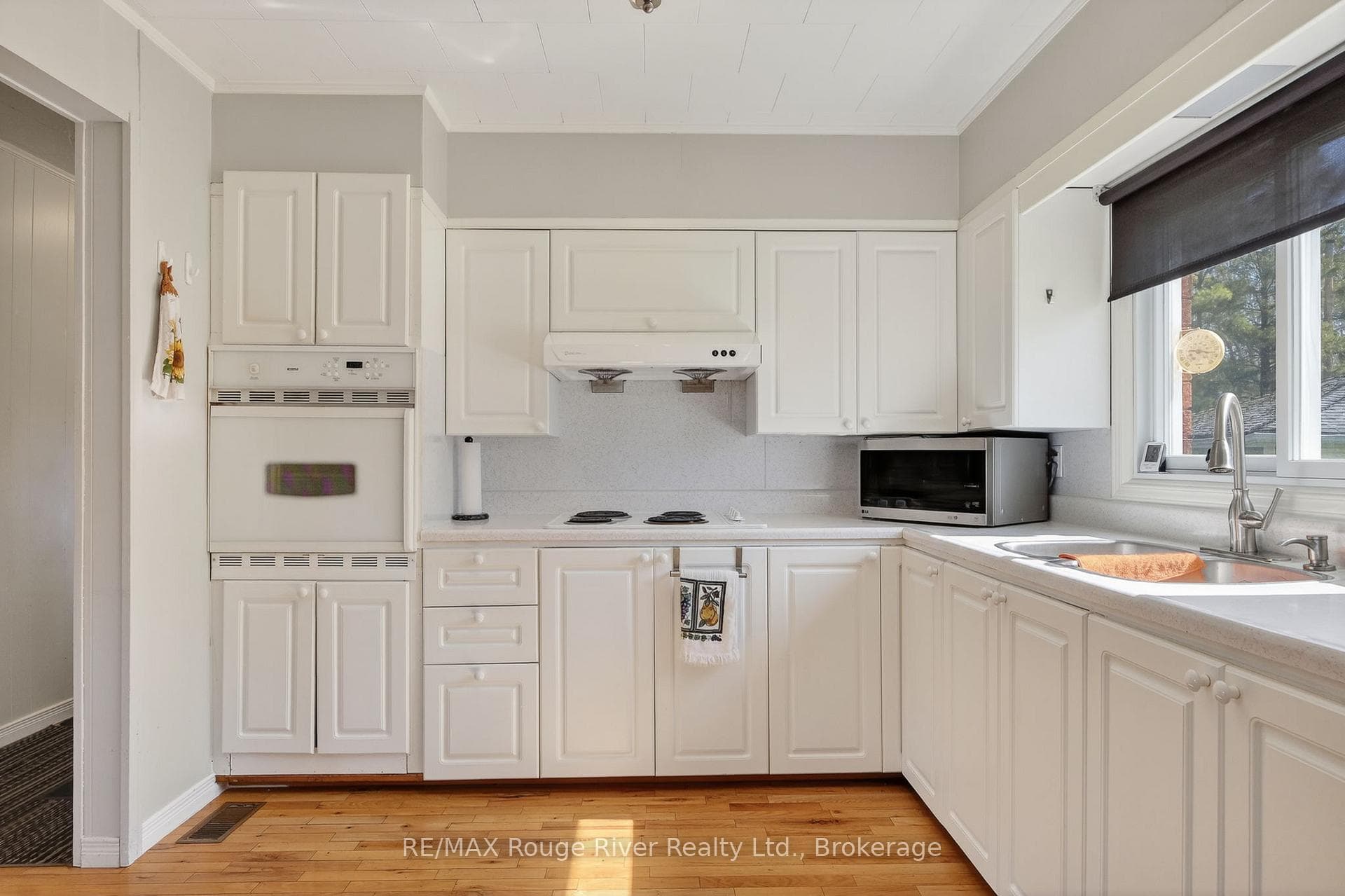 169 Cedar Drive photo 16
