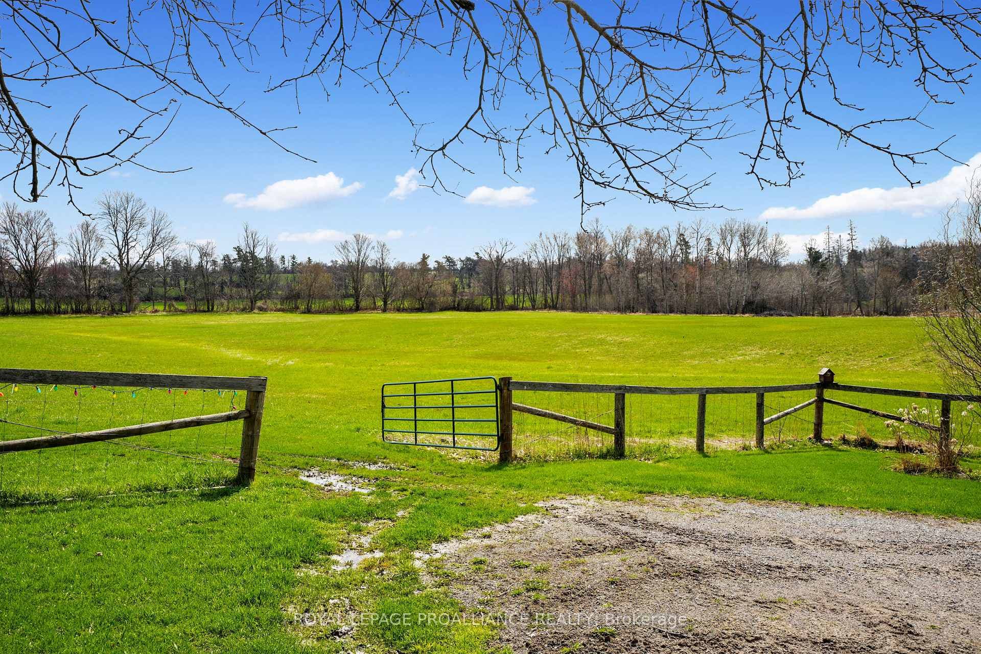 249 Bright Road photo 36