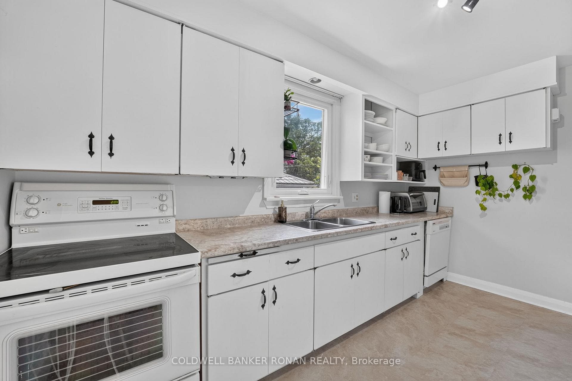 9 Vine Street photo 21