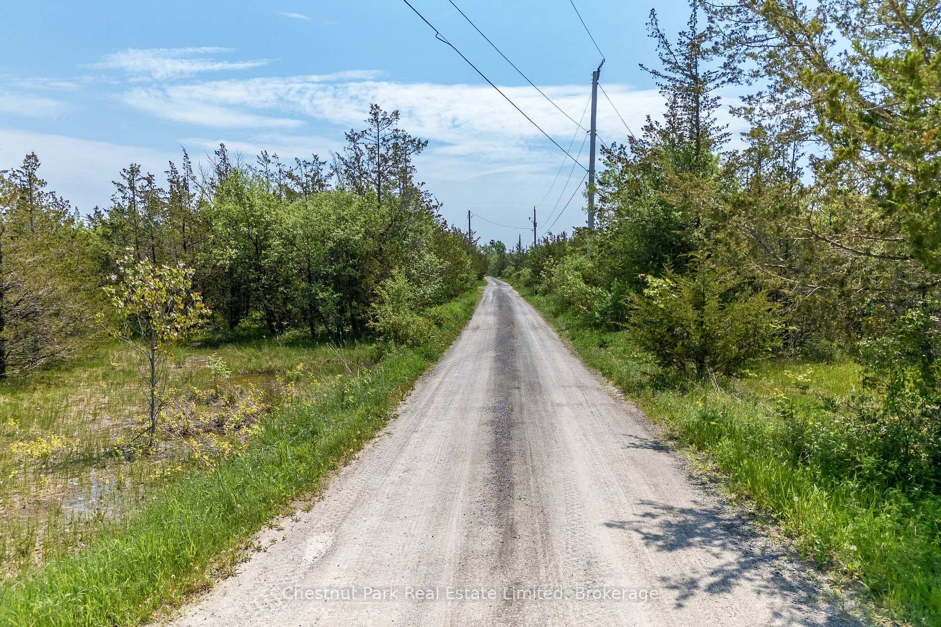 Next To 2451 County Road 15 N/A photo 13