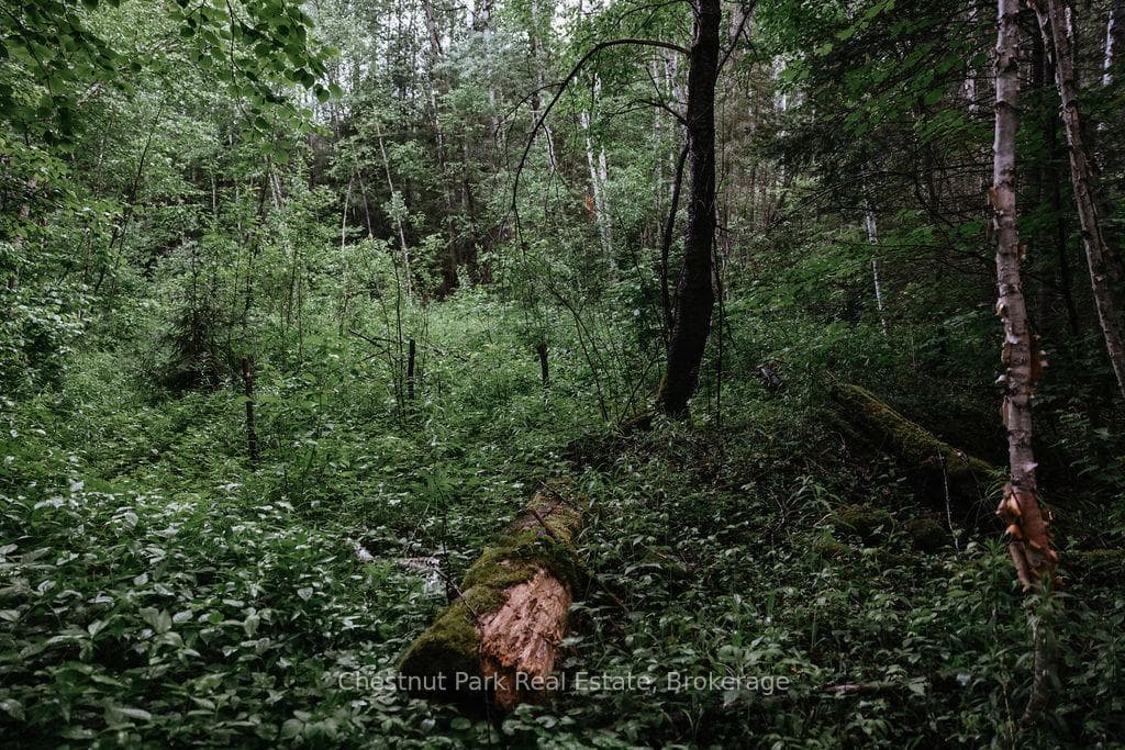 447 Fox Run photo 39