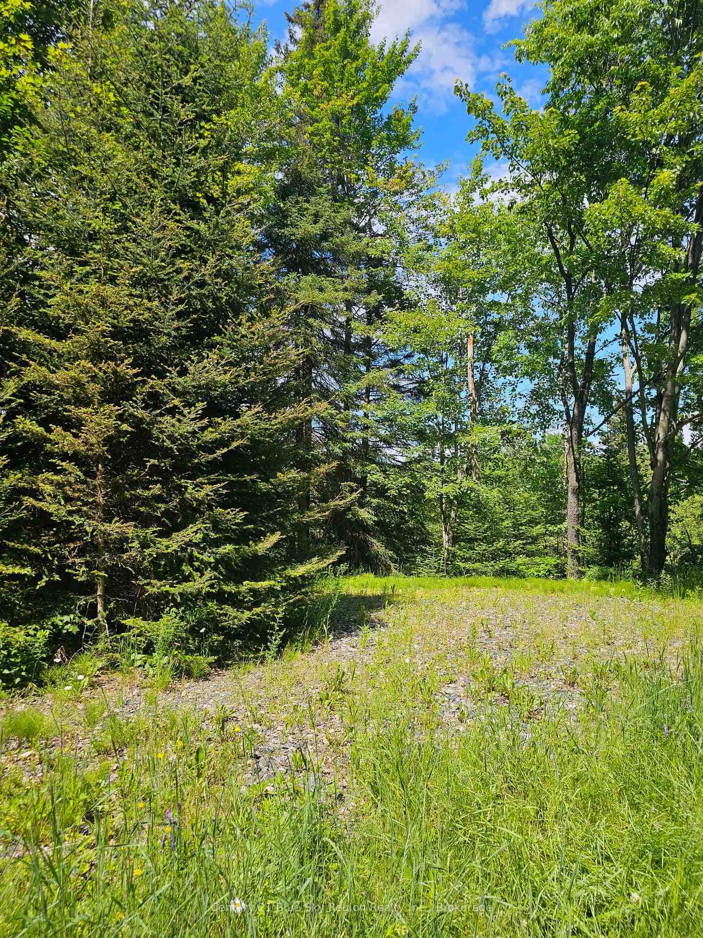4369 Highway 534 N/A photo 7