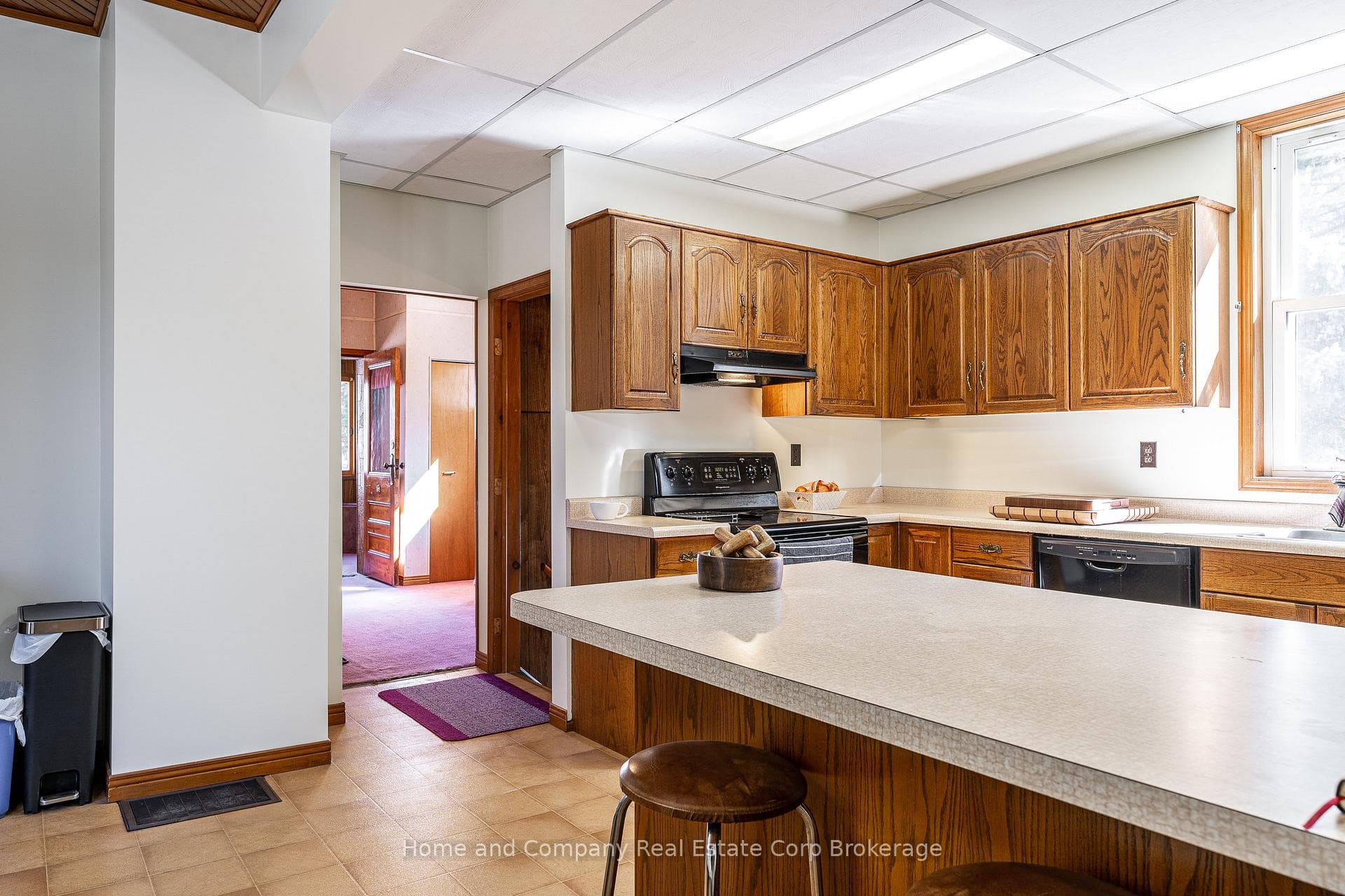 180 Trafalgar Street photo 8