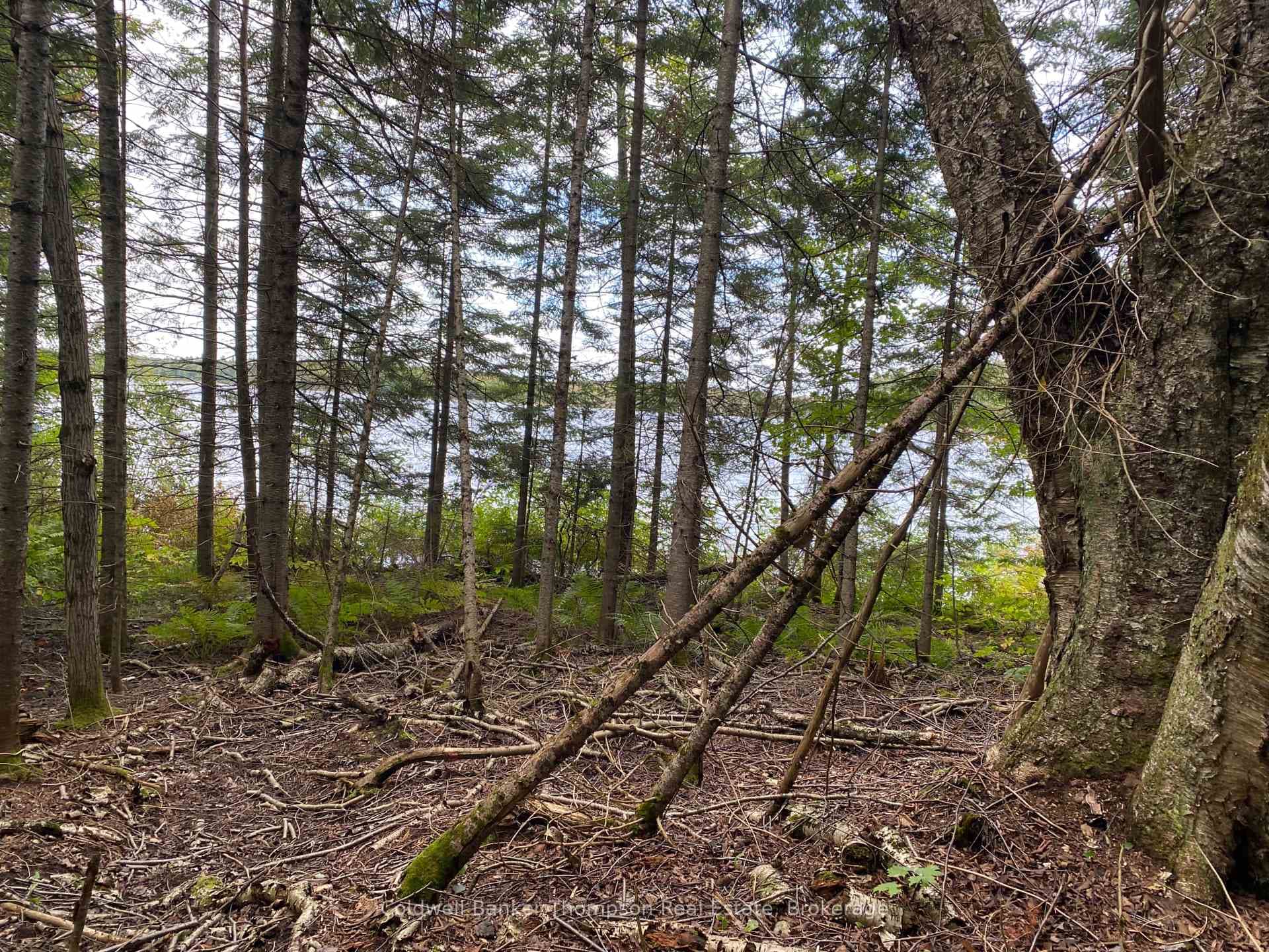 1080 Healey Lake Road photo 6