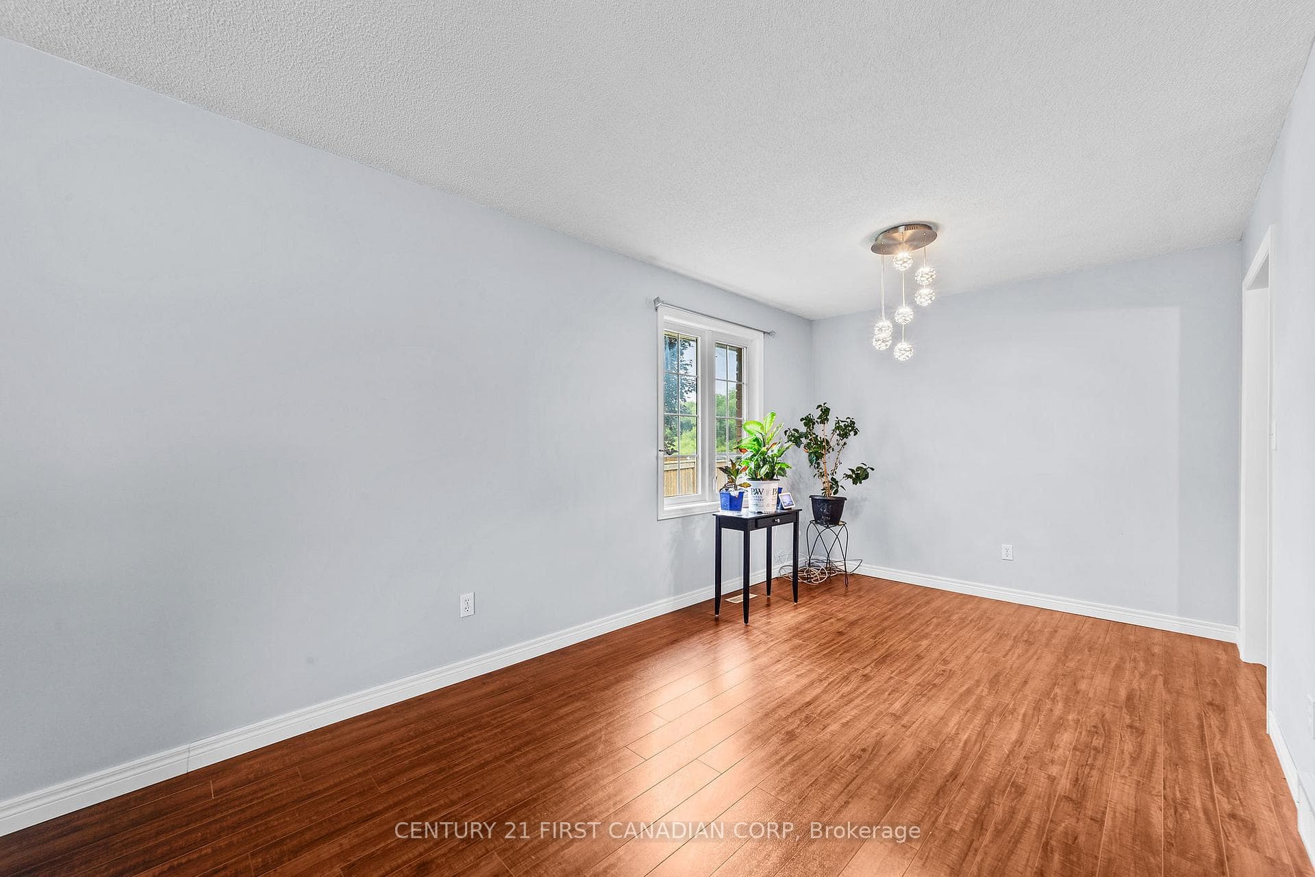 7 Sifton Drive photo 13