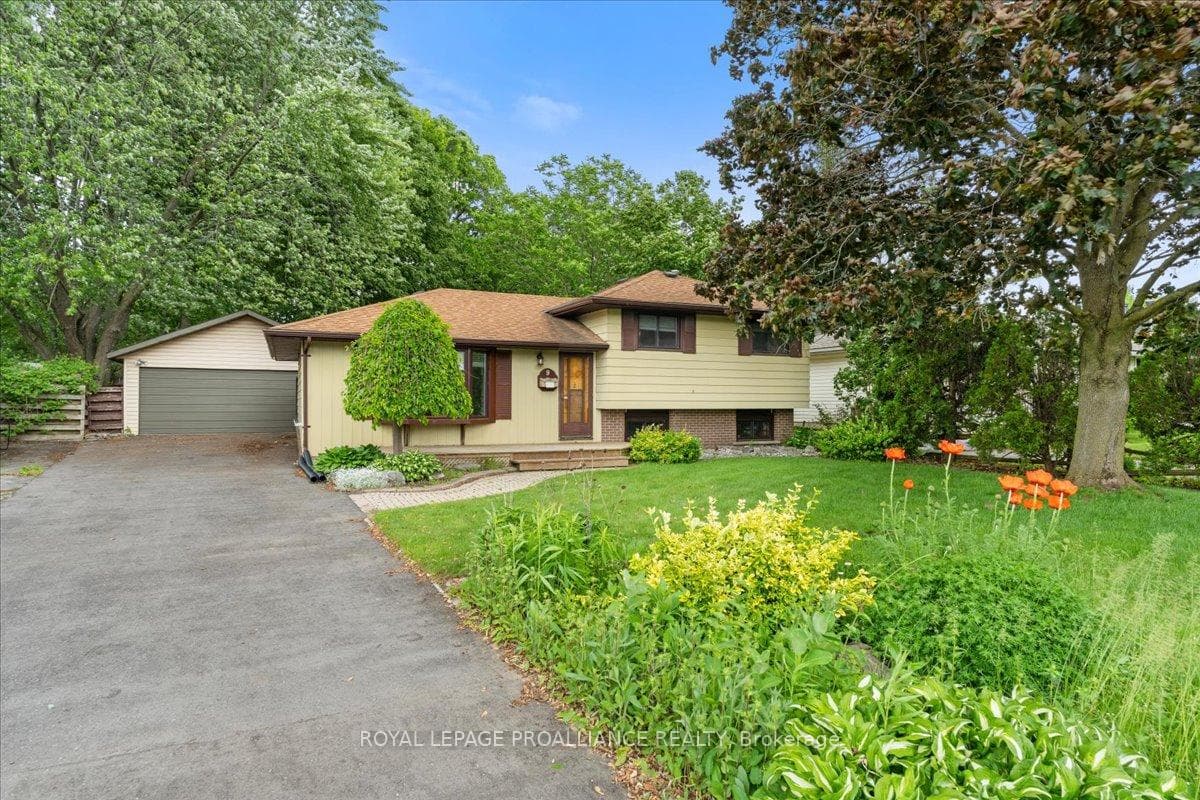 9 Graham Road photo 2