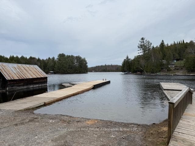 36 ST OLA LAKE SHORE N/A photo 2