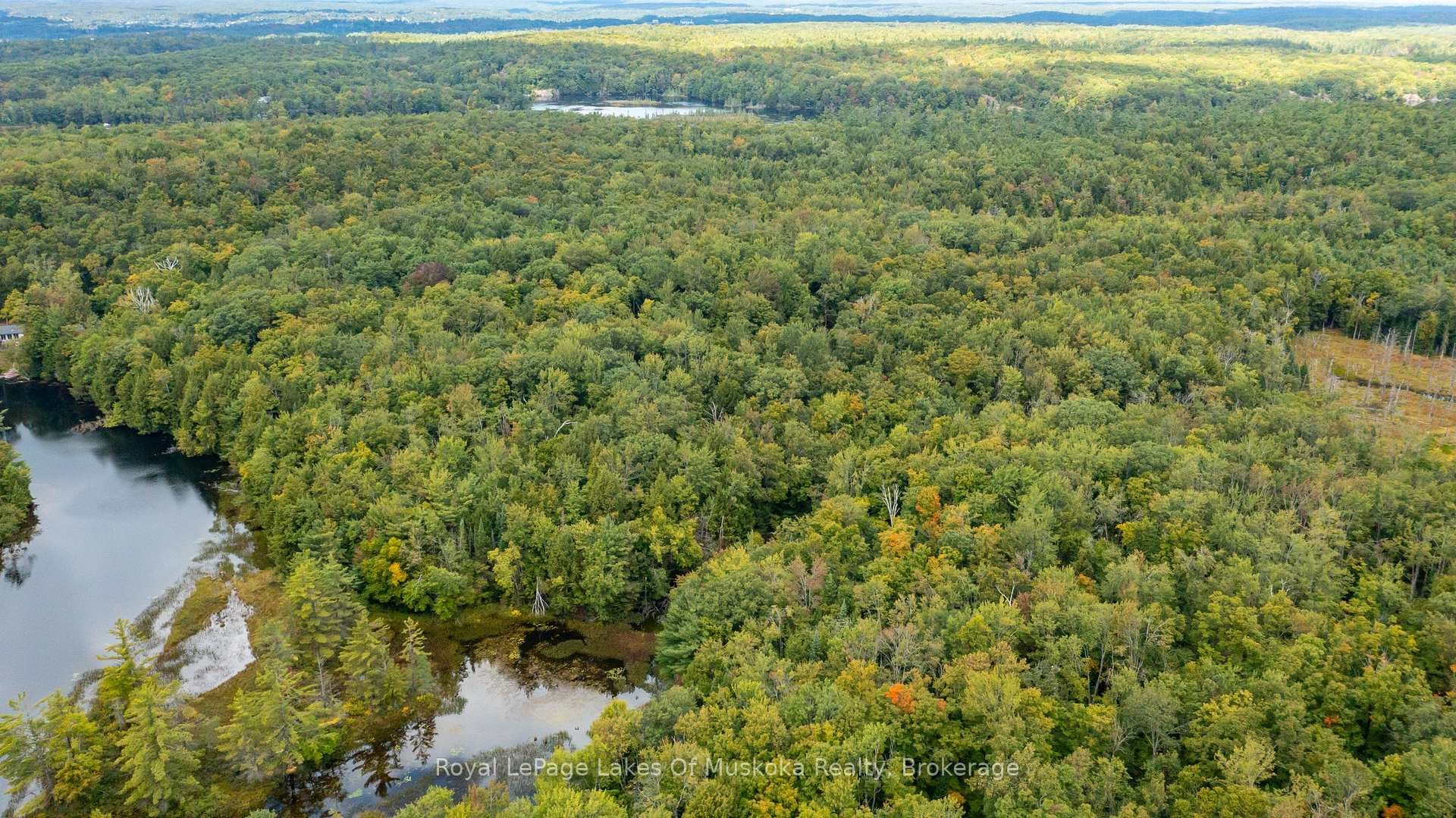 0 Muskoka River N/A photo 11