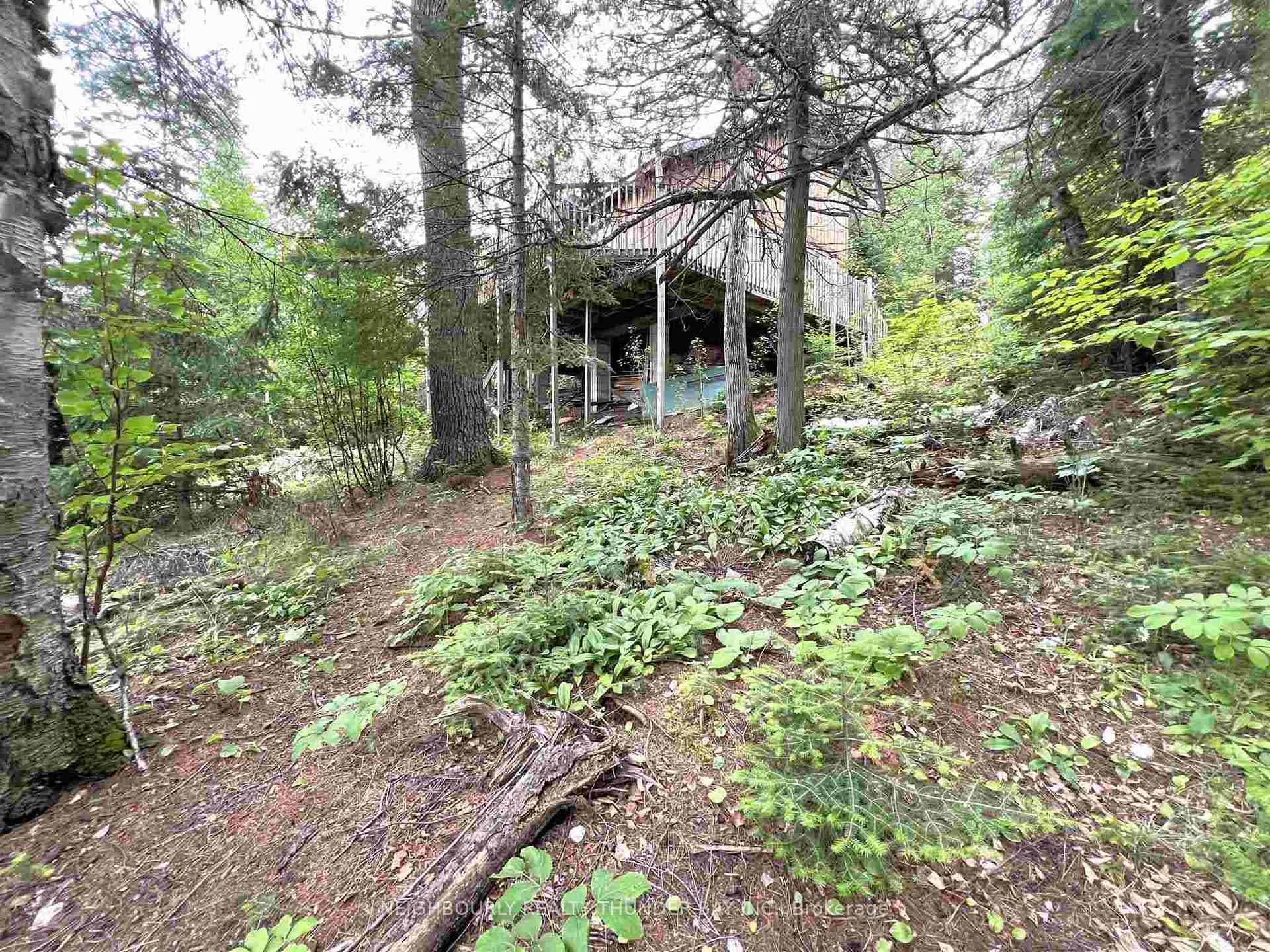 475 HWY 586 photo 41