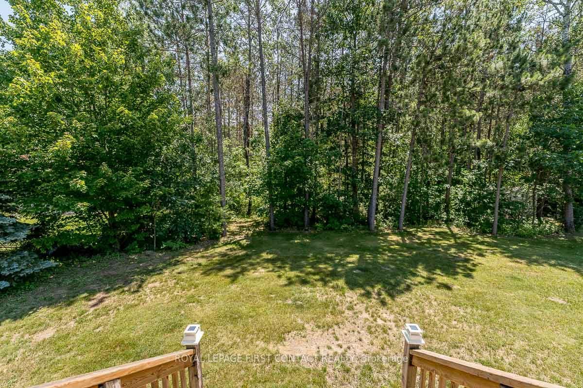 Private Rear Yard
