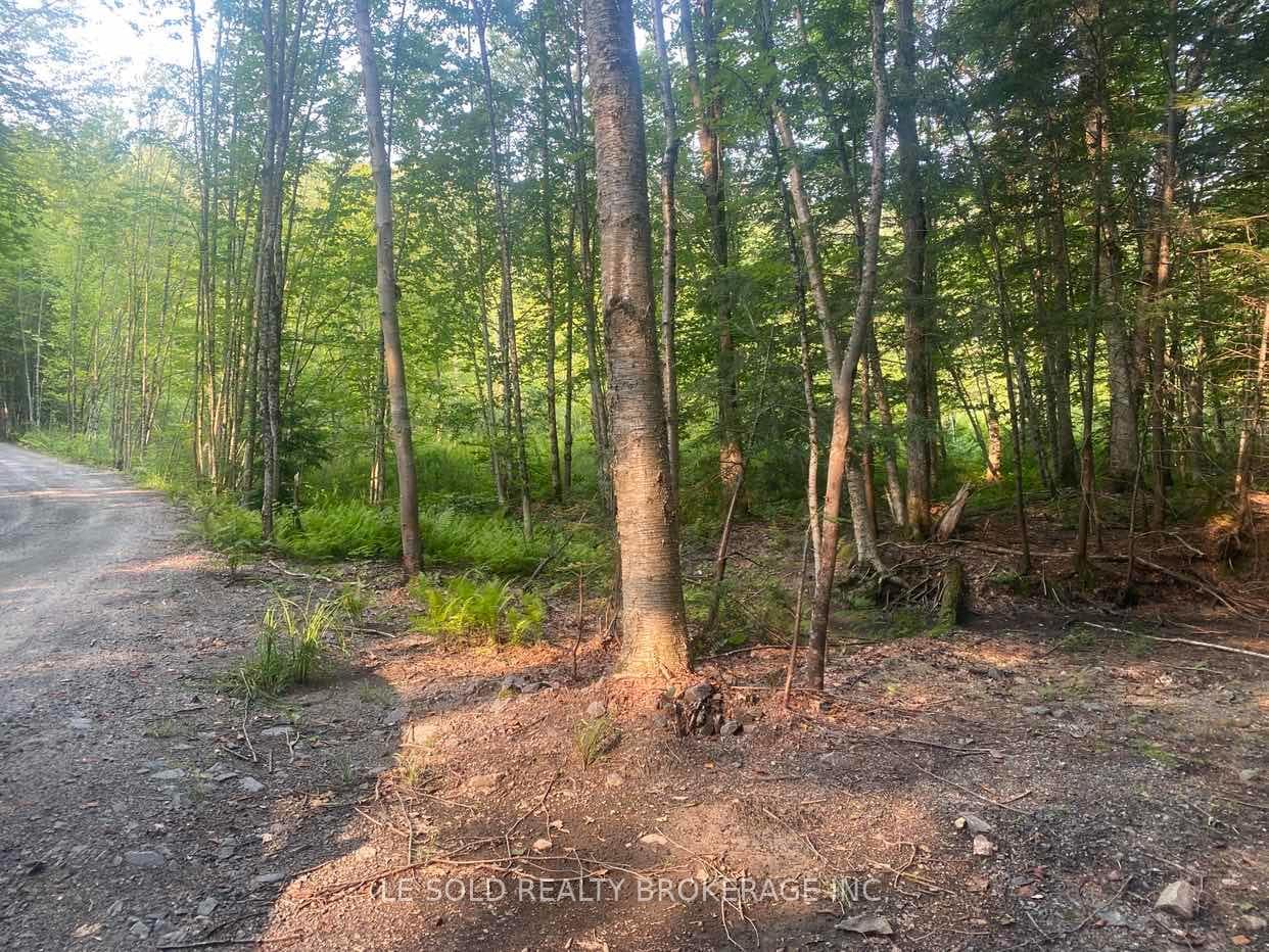 1310 Camel Lake Road Unit Lot # 7 photo 2