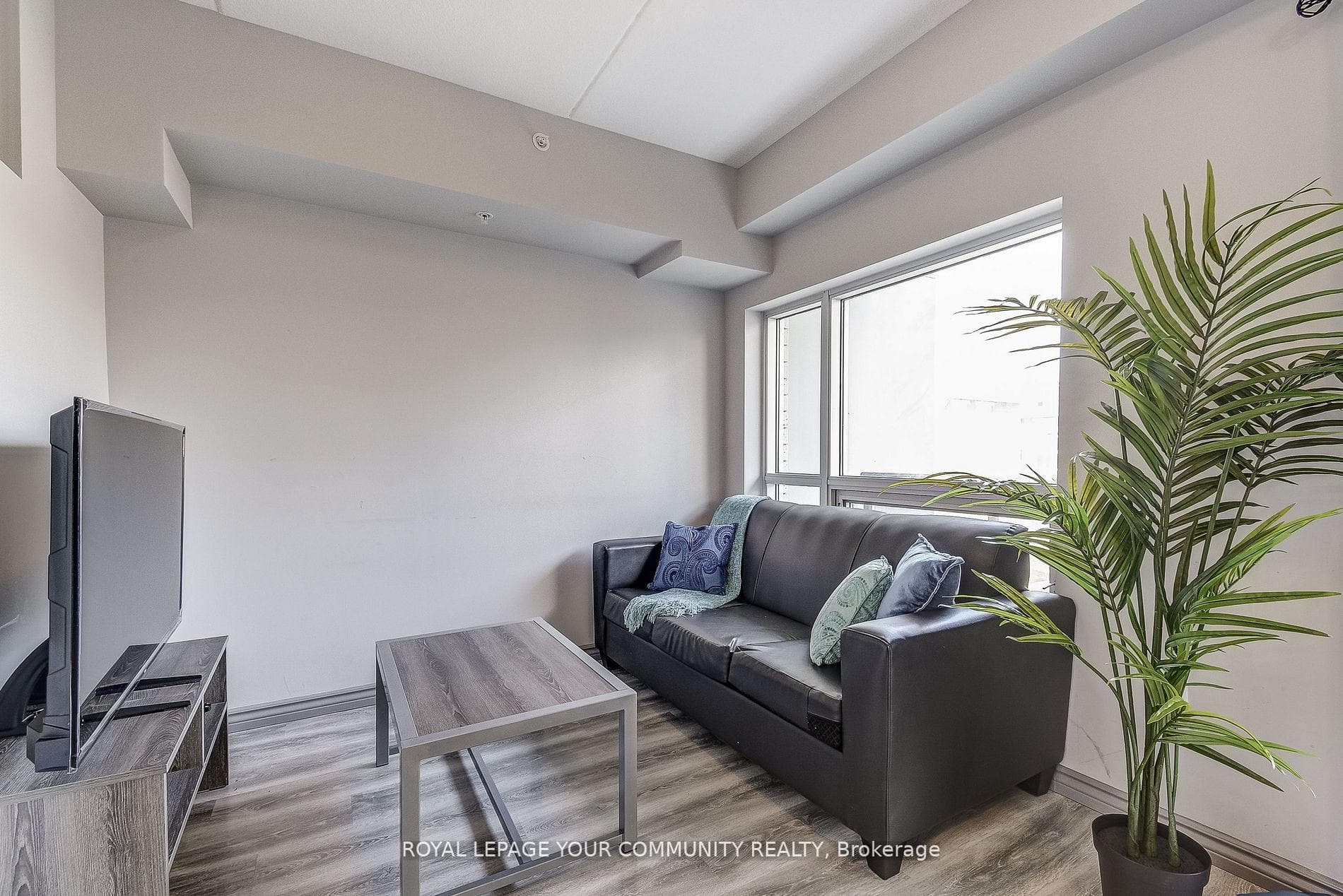 275 Larch Street Unit B412 photo 18