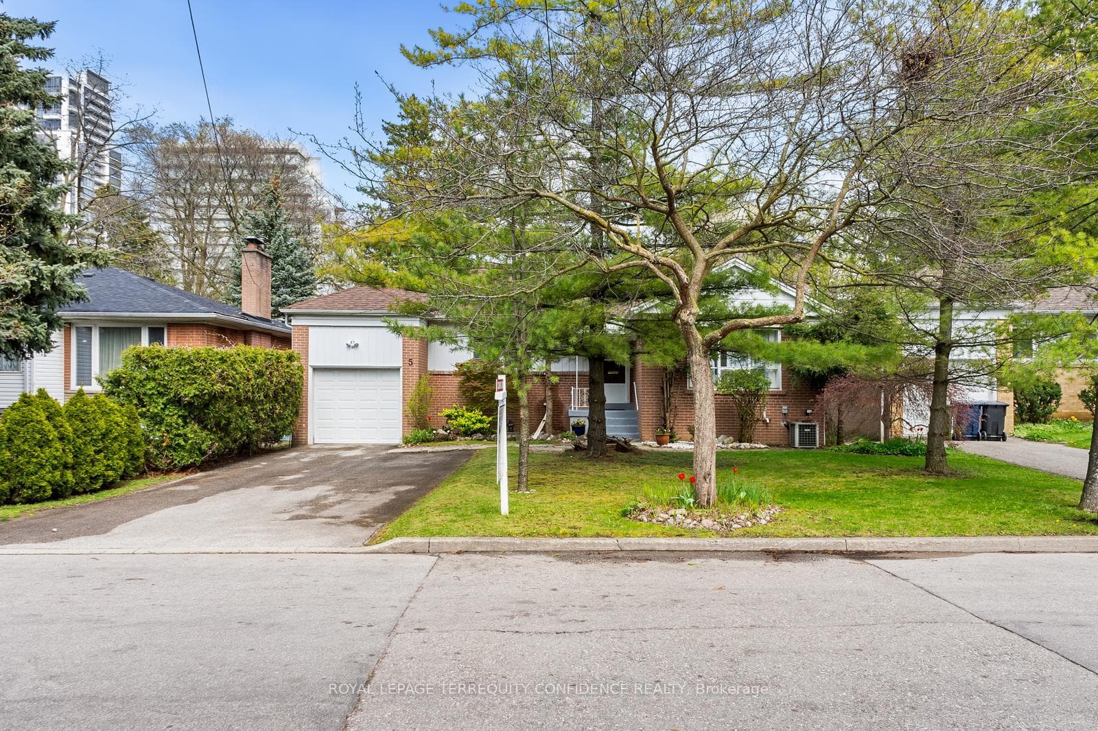 5 Basswood Road photo 20