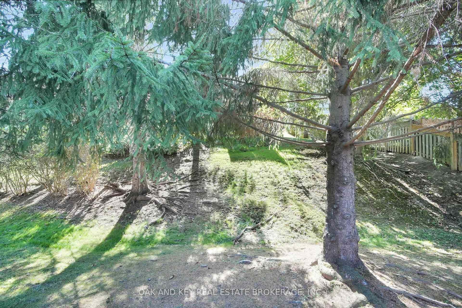 38 Quinella Place photo 45