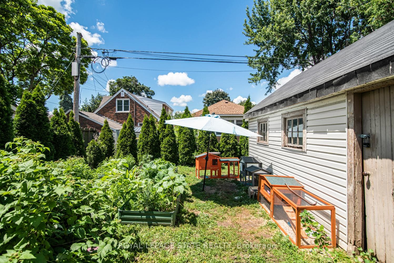 52 Cameron Avenue photo 47