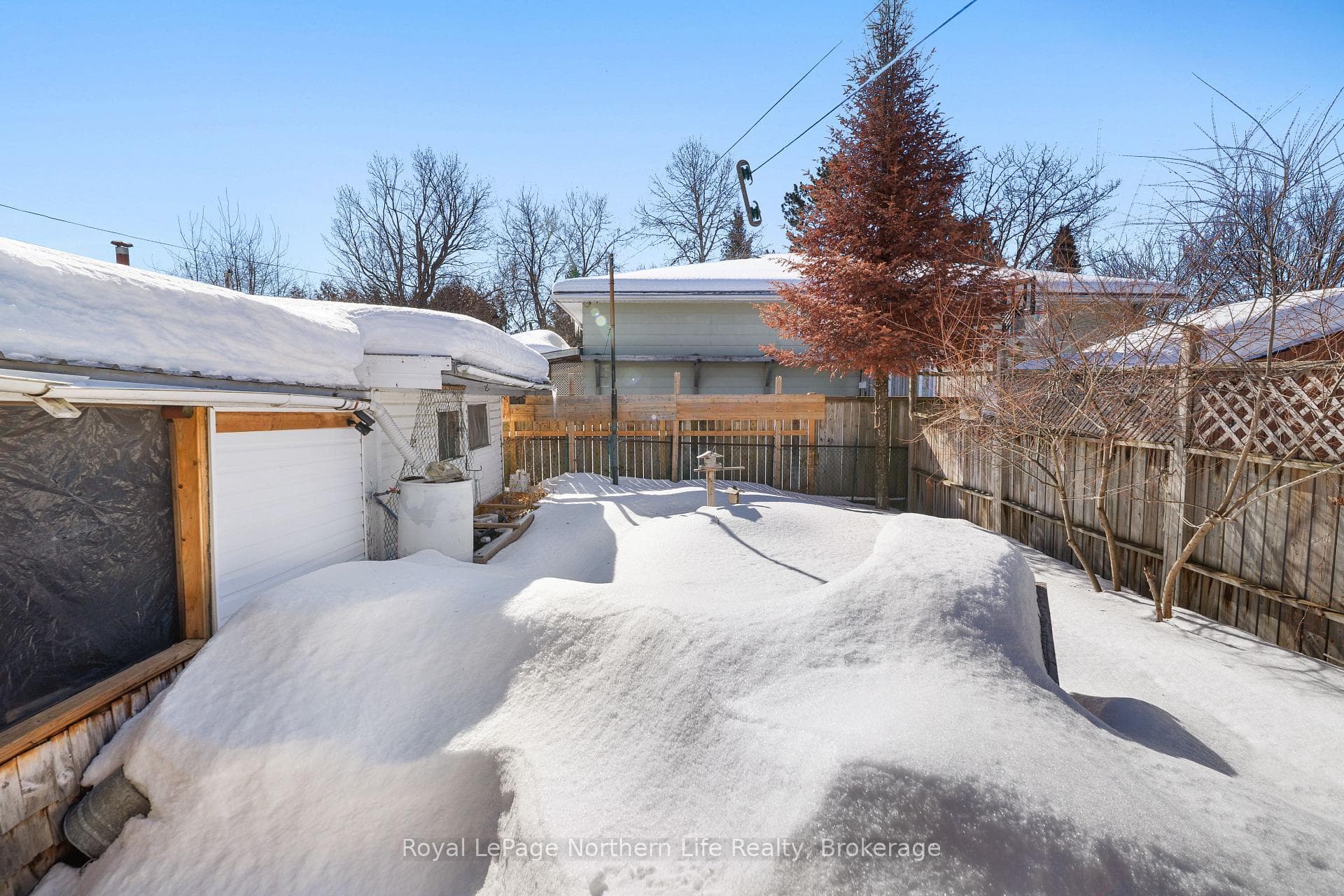 455 Angus Street photo 38