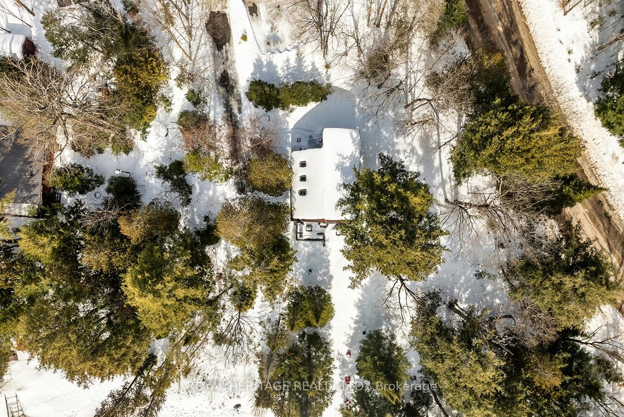 4 PINEDALE Drive photo 7