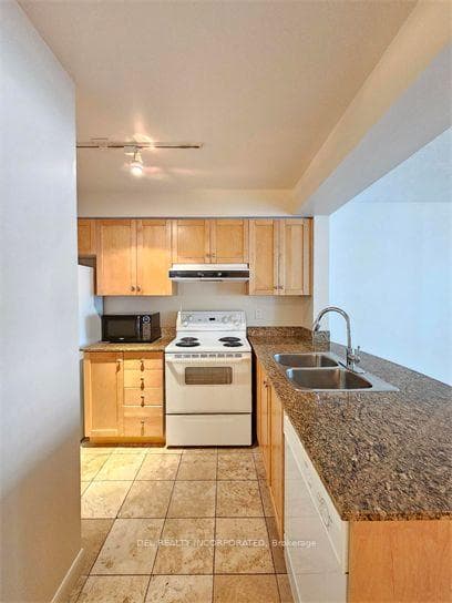 313 Richmond Street Unit 1051 photo 2