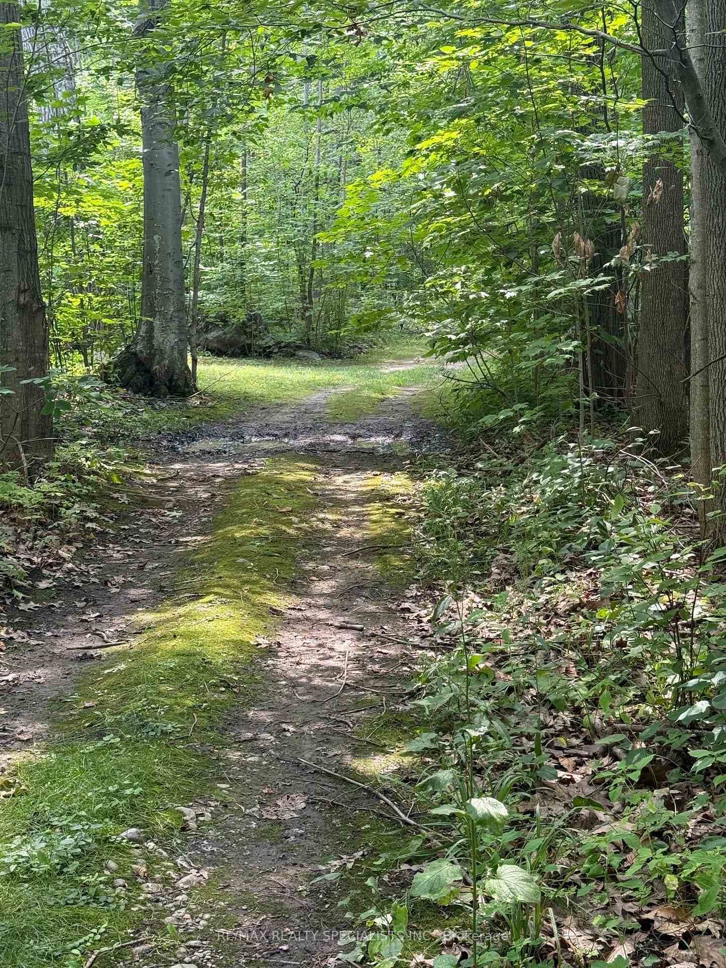 LOT 44 Snake Island photo 45