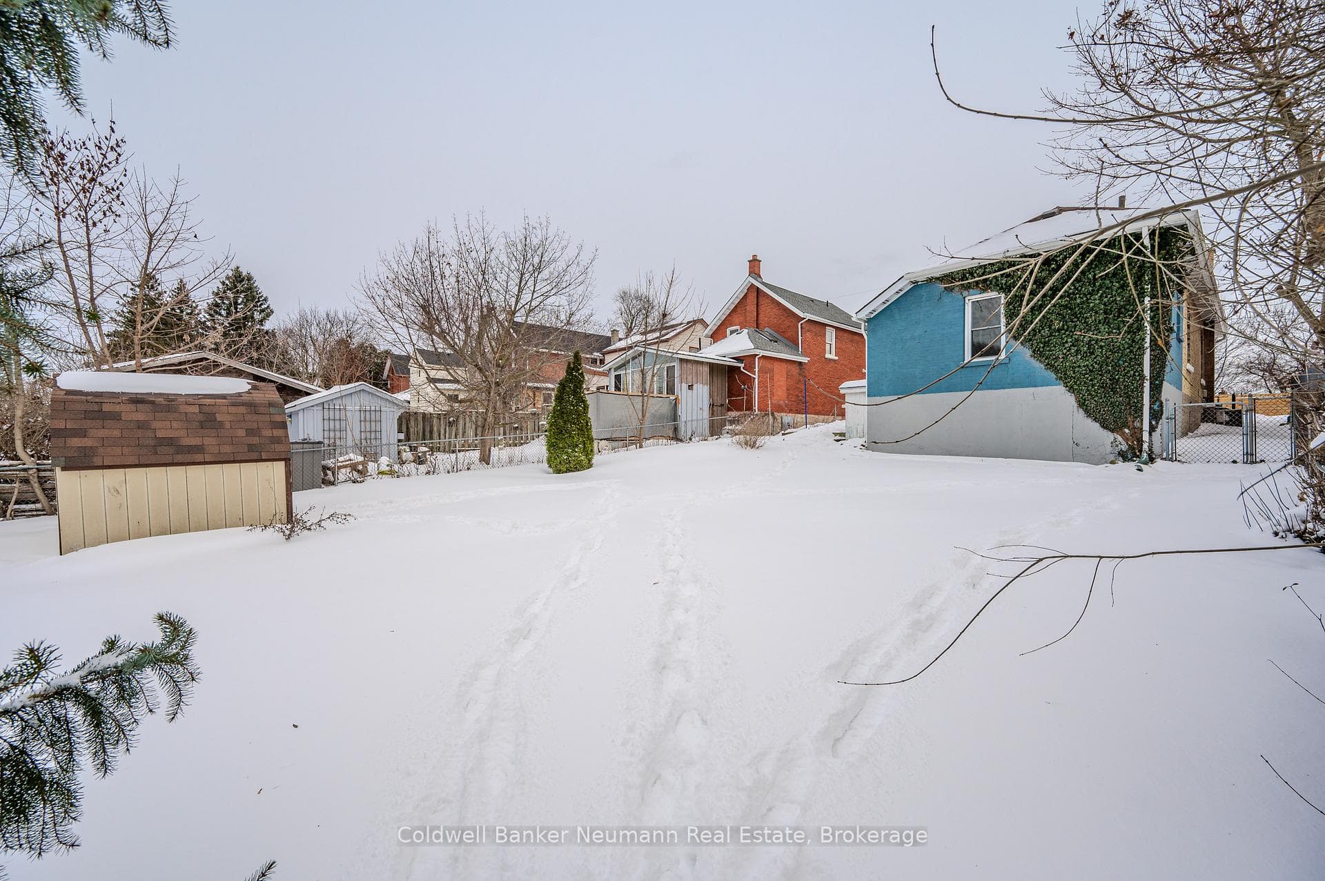 36 Manitoba Street photo 31