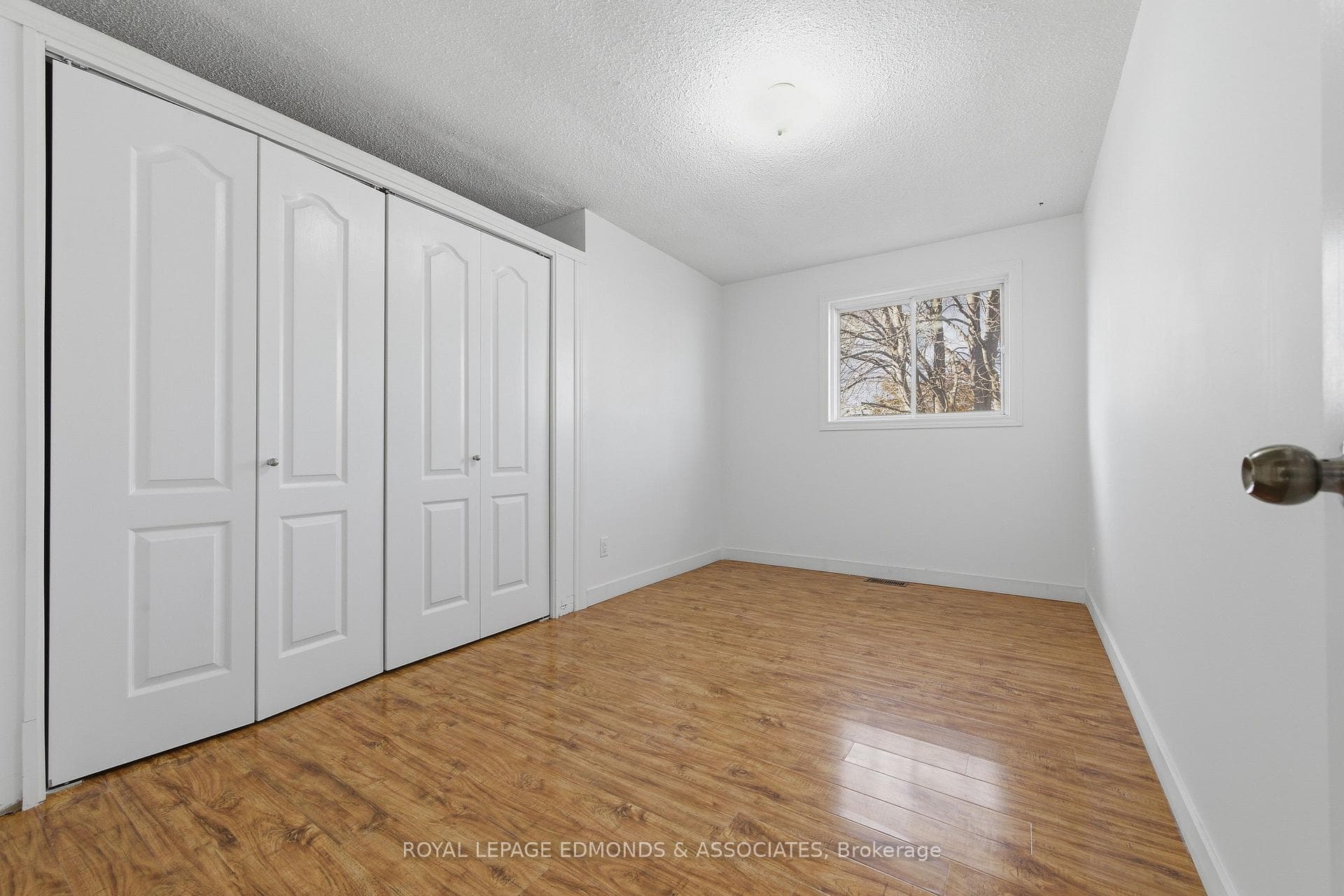 4 Craig Place photo 21