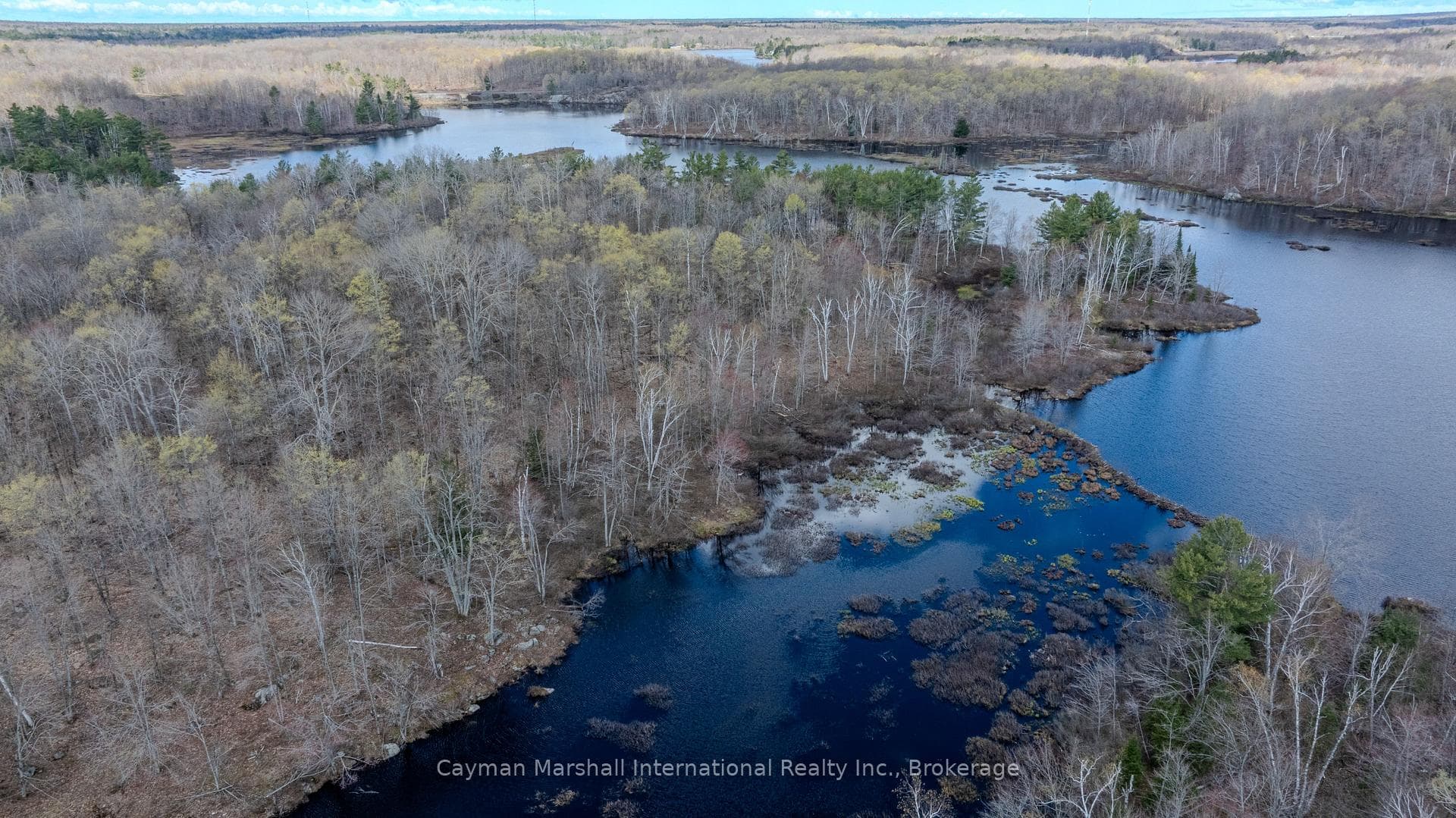 4805 Muskoka 169 Road Unit Lot #3 photo 21