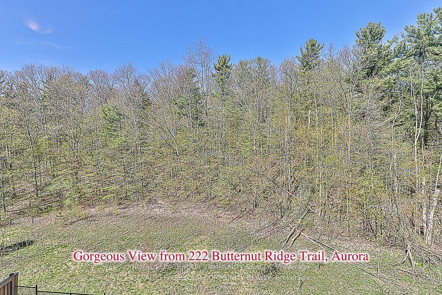 222 Butternut Ridge Trail photo 33