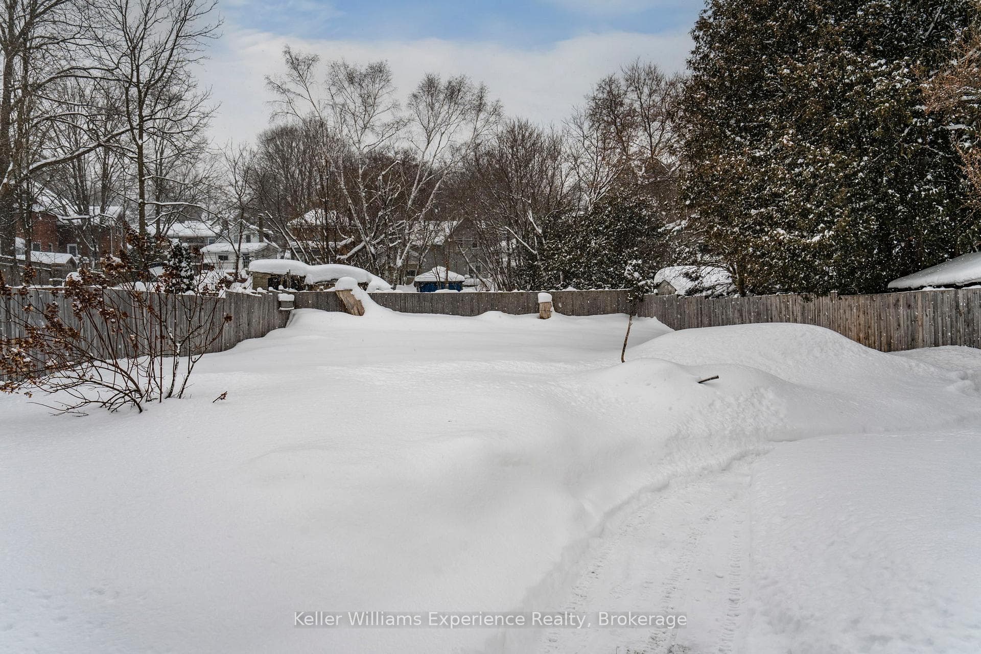 Rear Yard