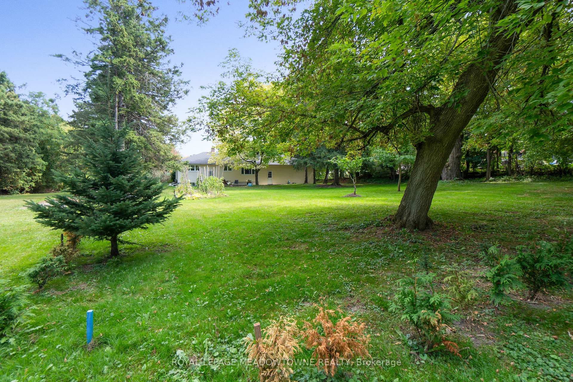208 Martin Street photo 35