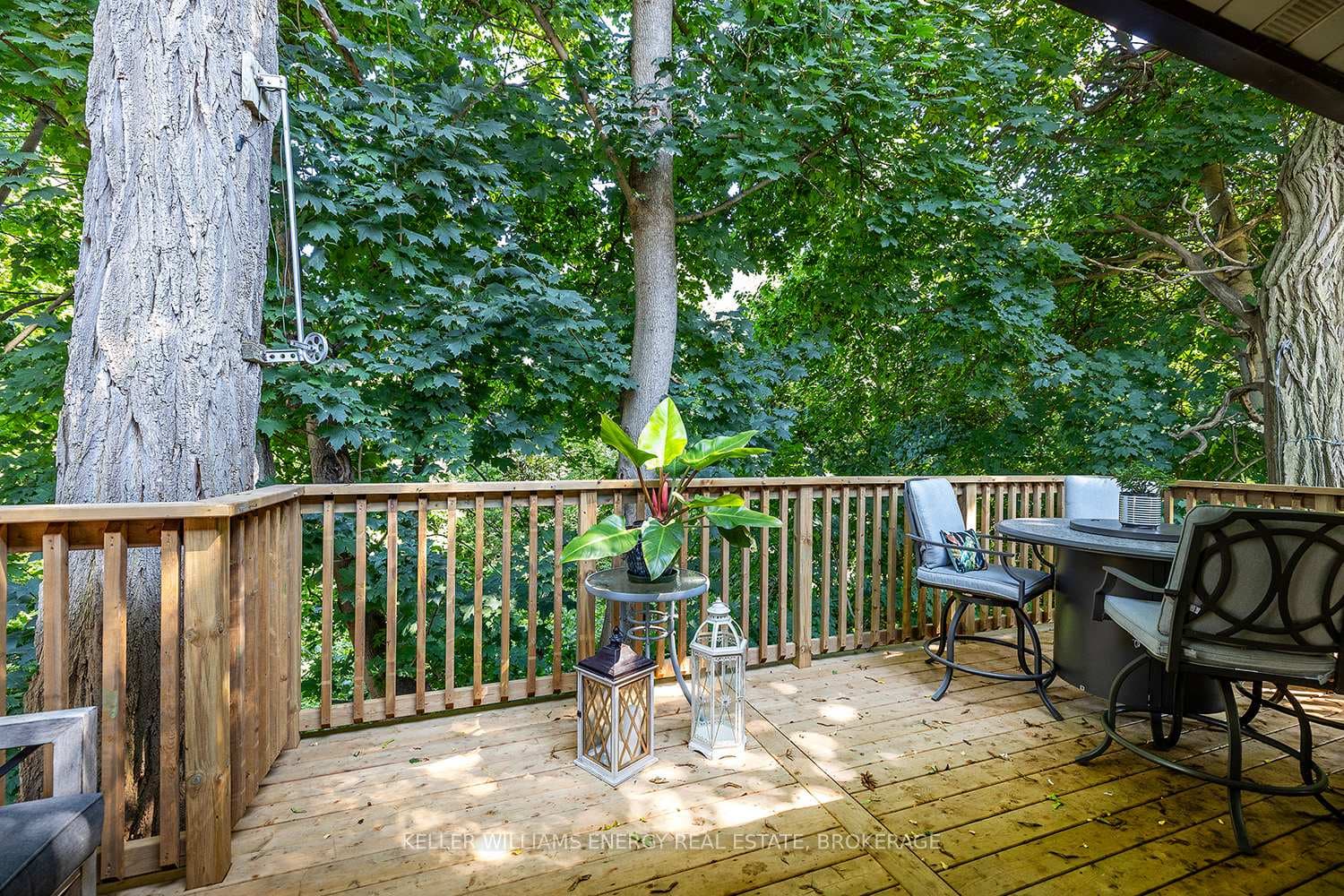 53 Jackman Road photo 11