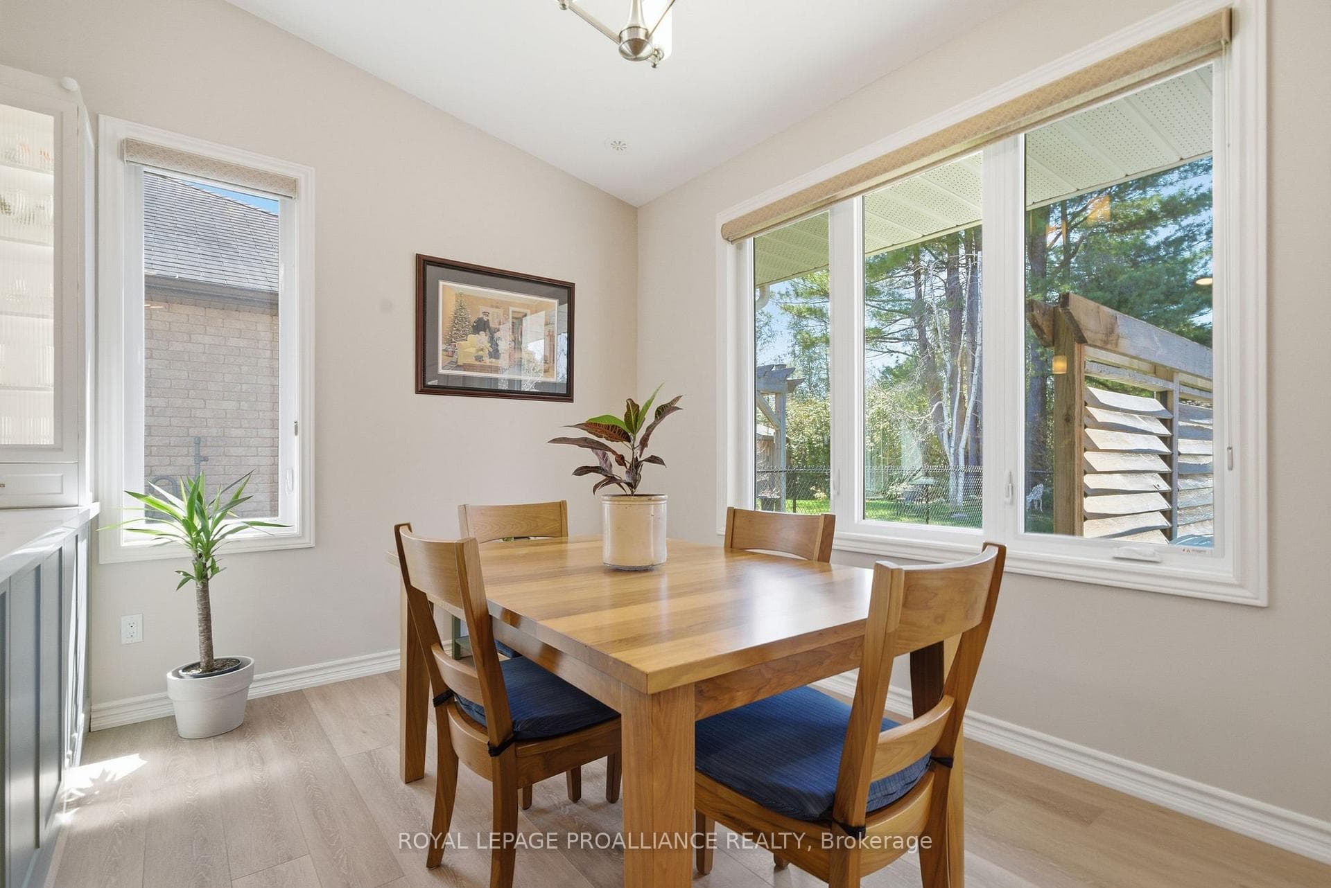 37 Forest Drive photo 18