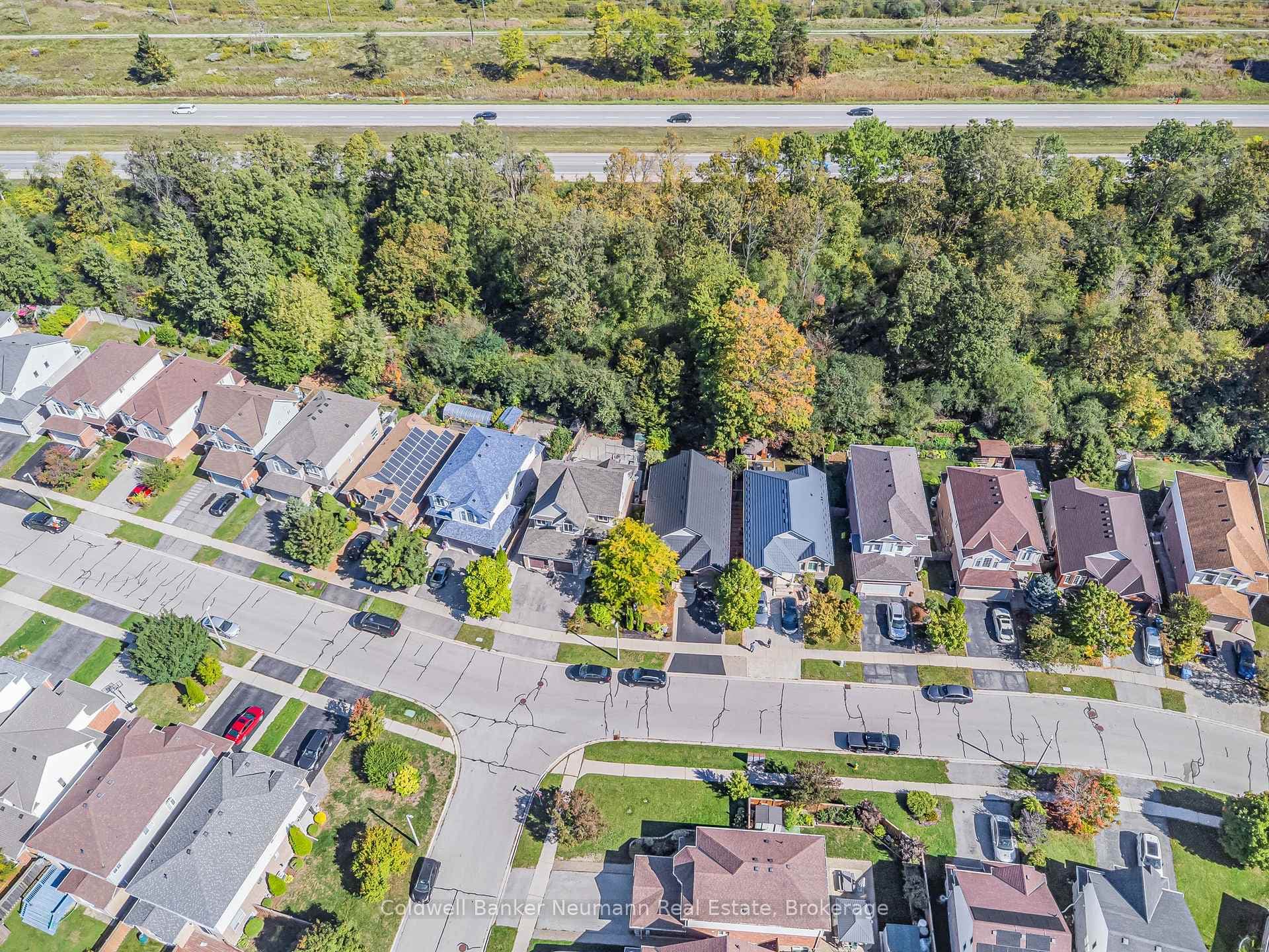 17 Milson Crescent photo 34