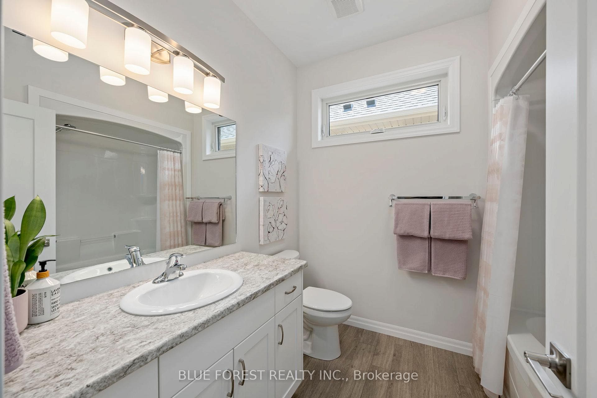 Main Floor Bathroom