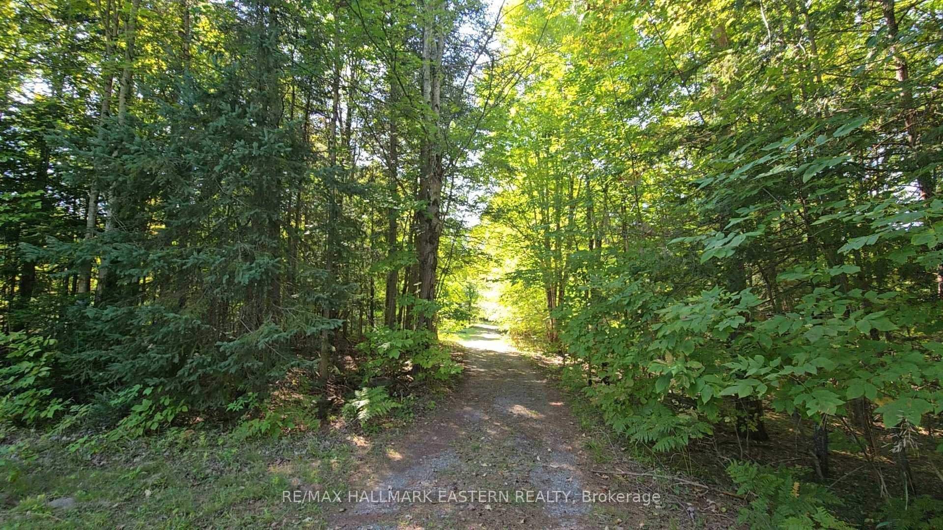 Really nice trails throughout