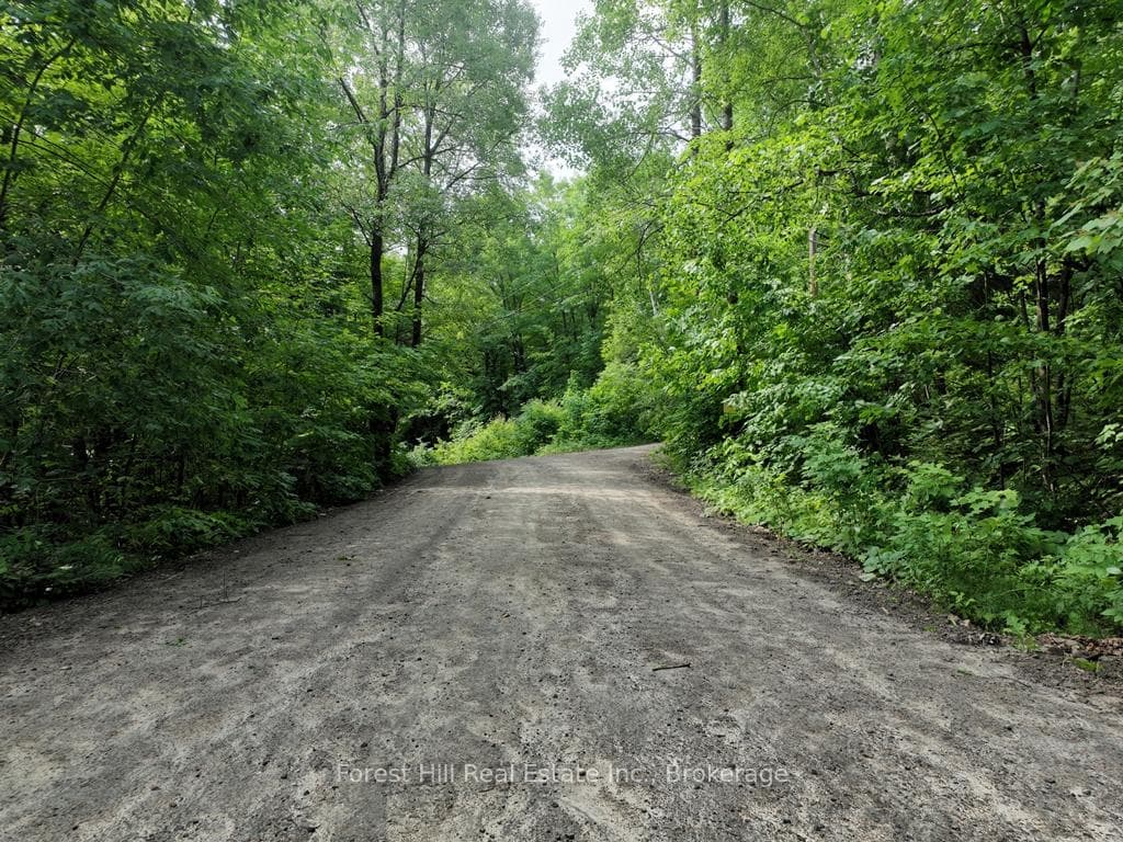 0 Alice Drive photo 31