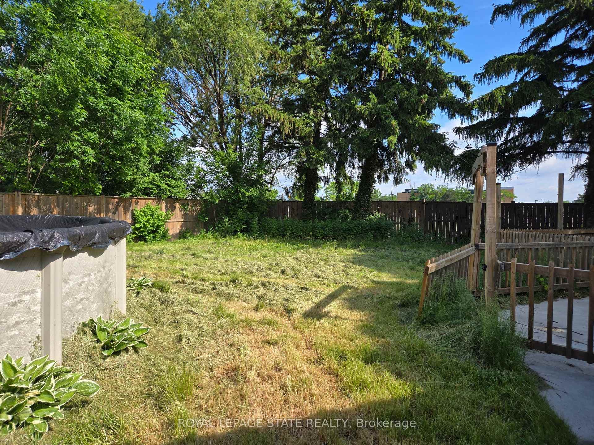 17 Carmen Avenue photo 6