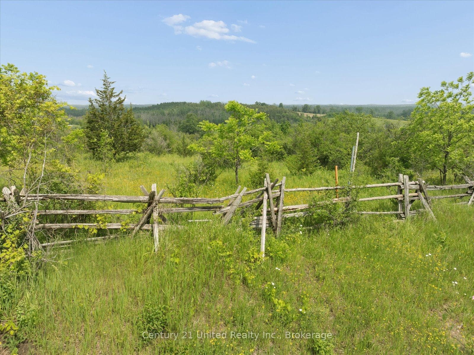 1825 McNamara Road photo 16