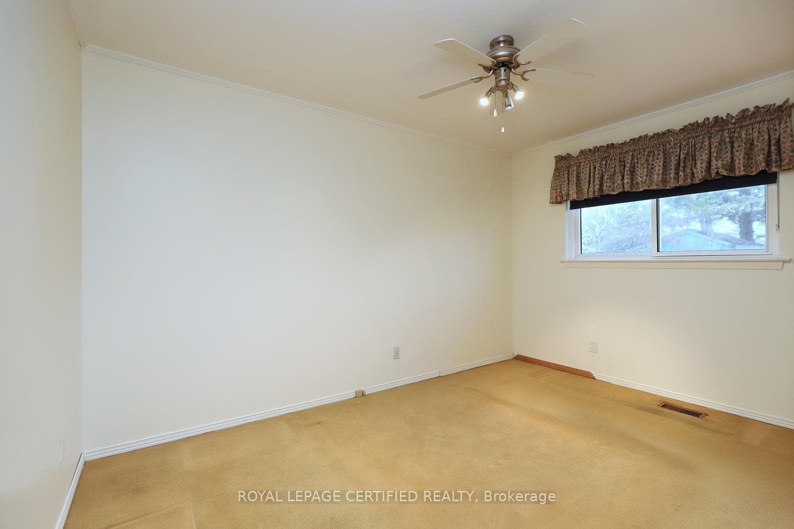 35 Ladore Drive photo 18