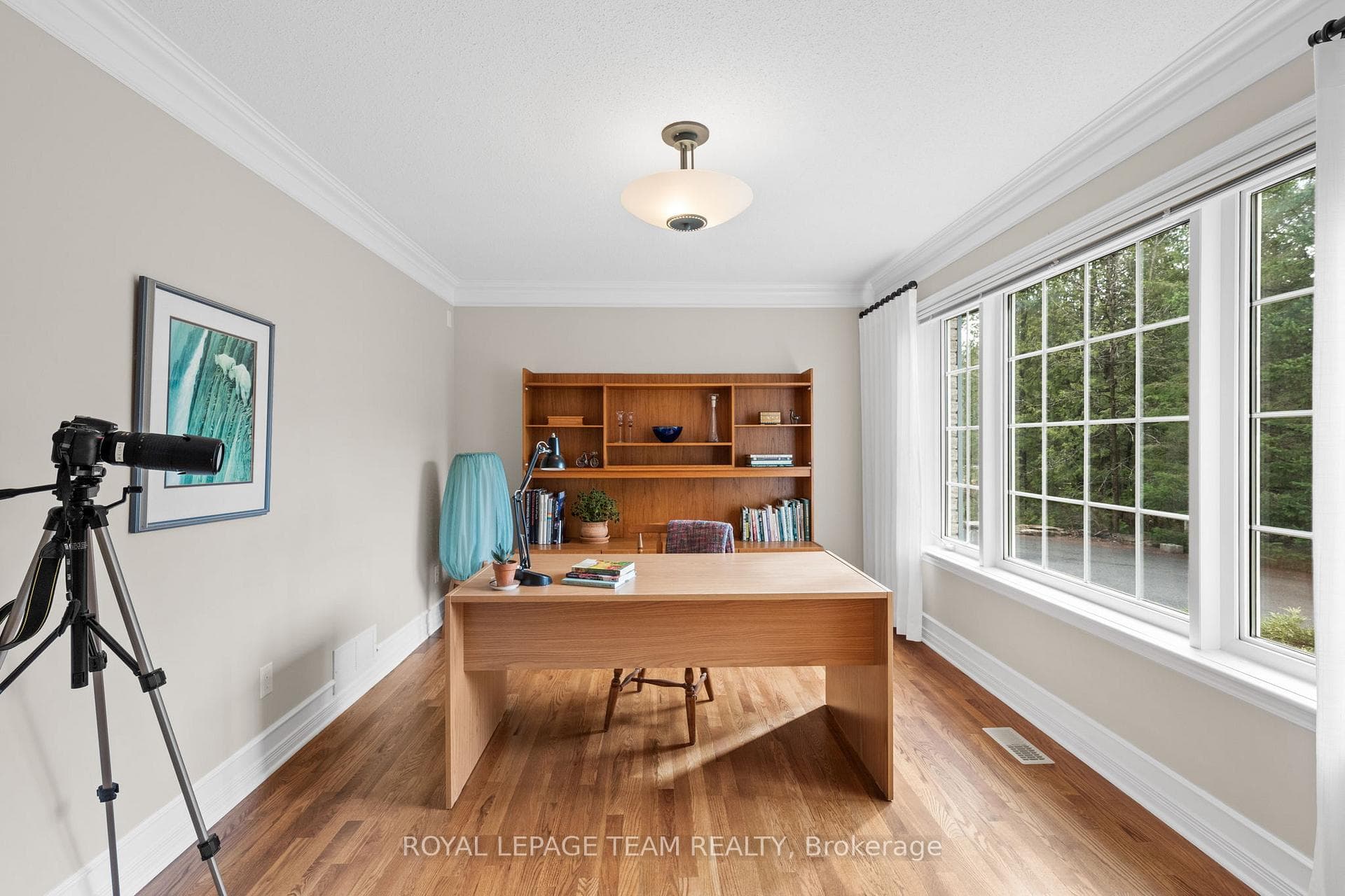 6461 Waddion Drive photo 20
